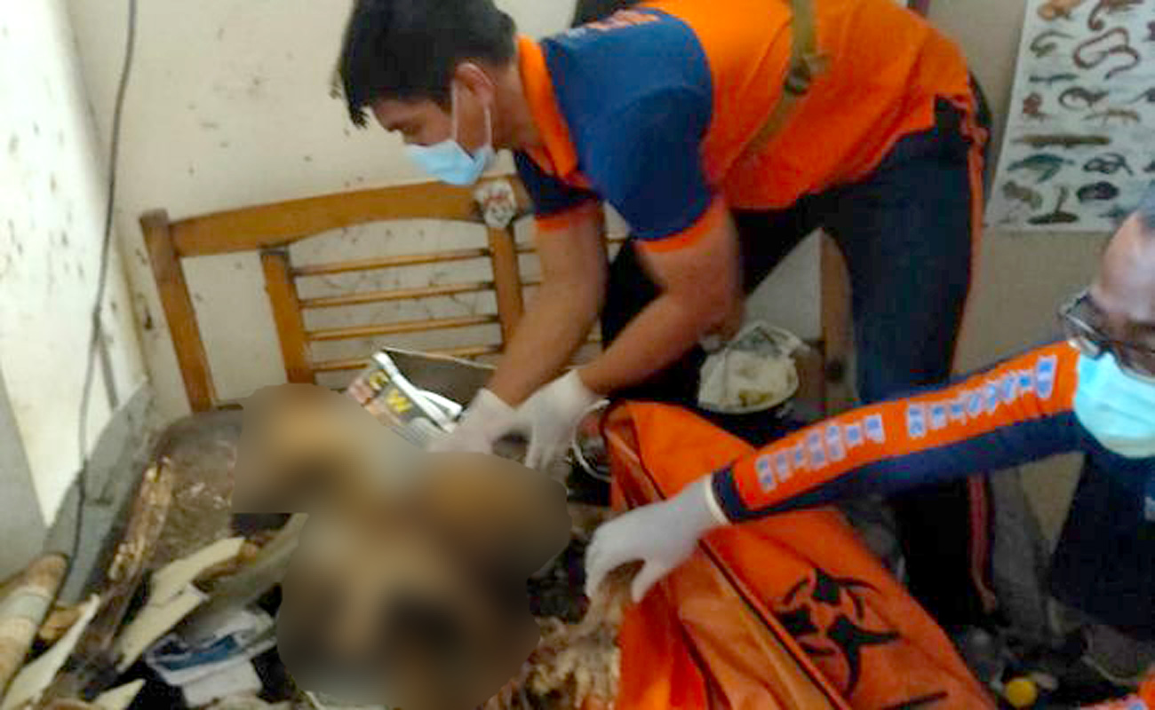 Troben a Bali l'esquelet d'un home de Terrassa