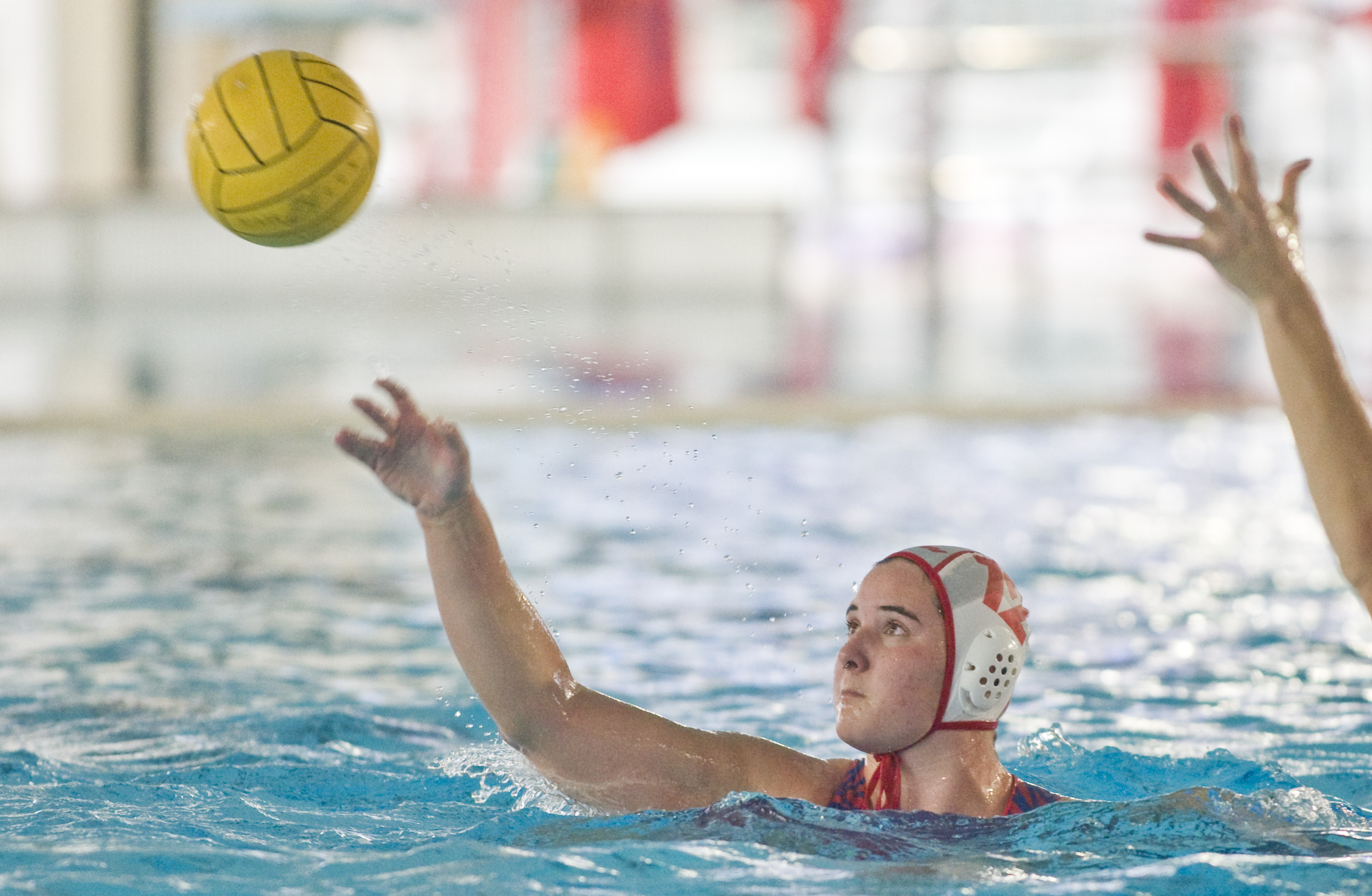 Quatre jugadores del CN Terrassa, a la selecció