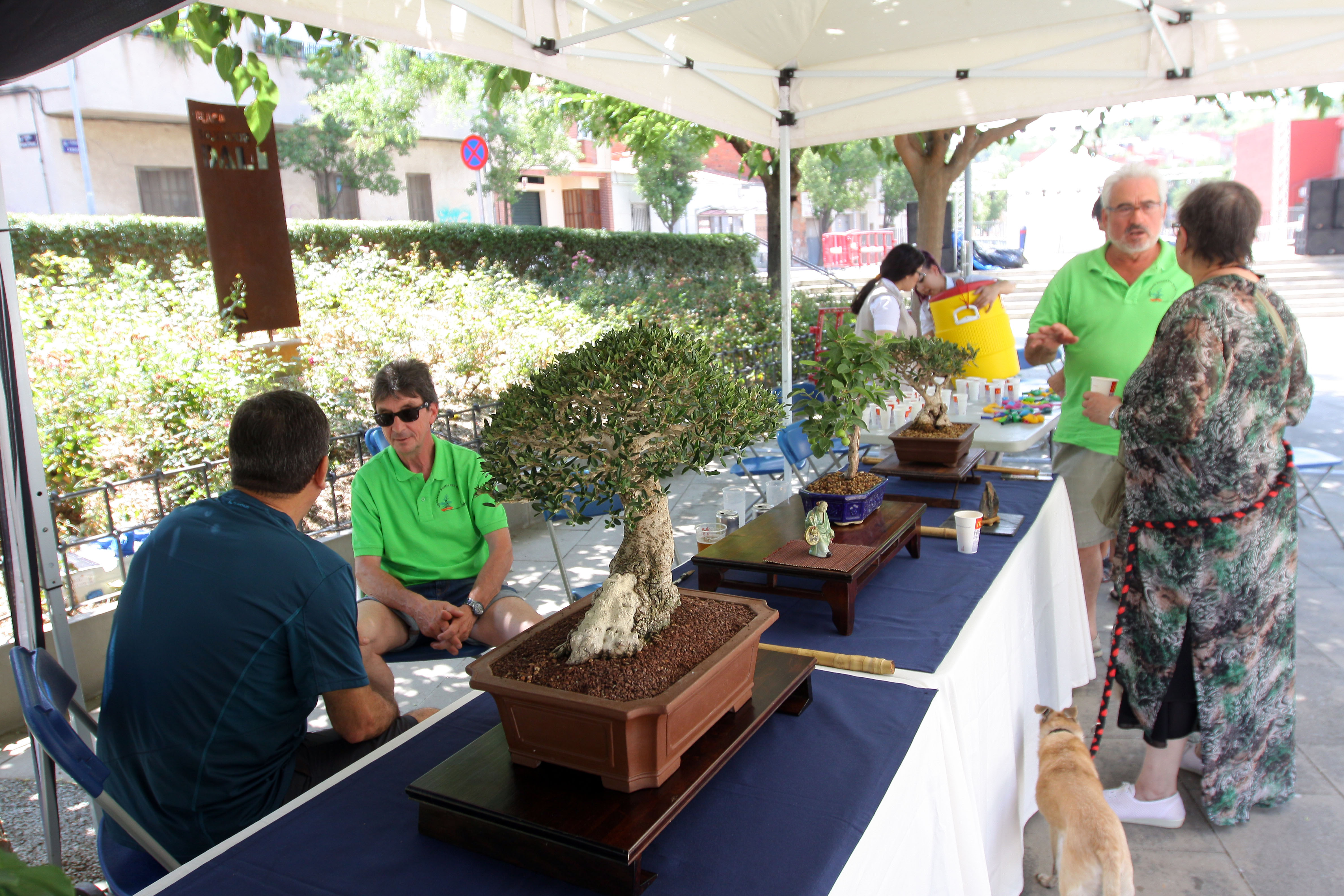 La Cogullada de Terrassa es queda sense festa major