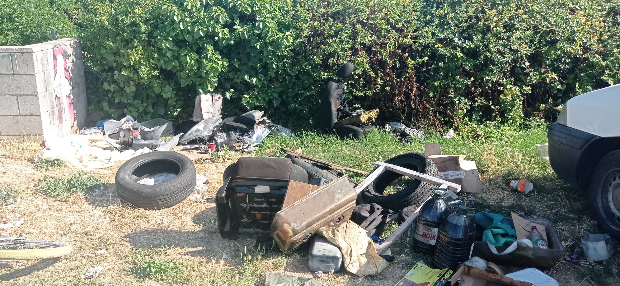 Abocador de peces de vehicle al parc de la República de Terrassa