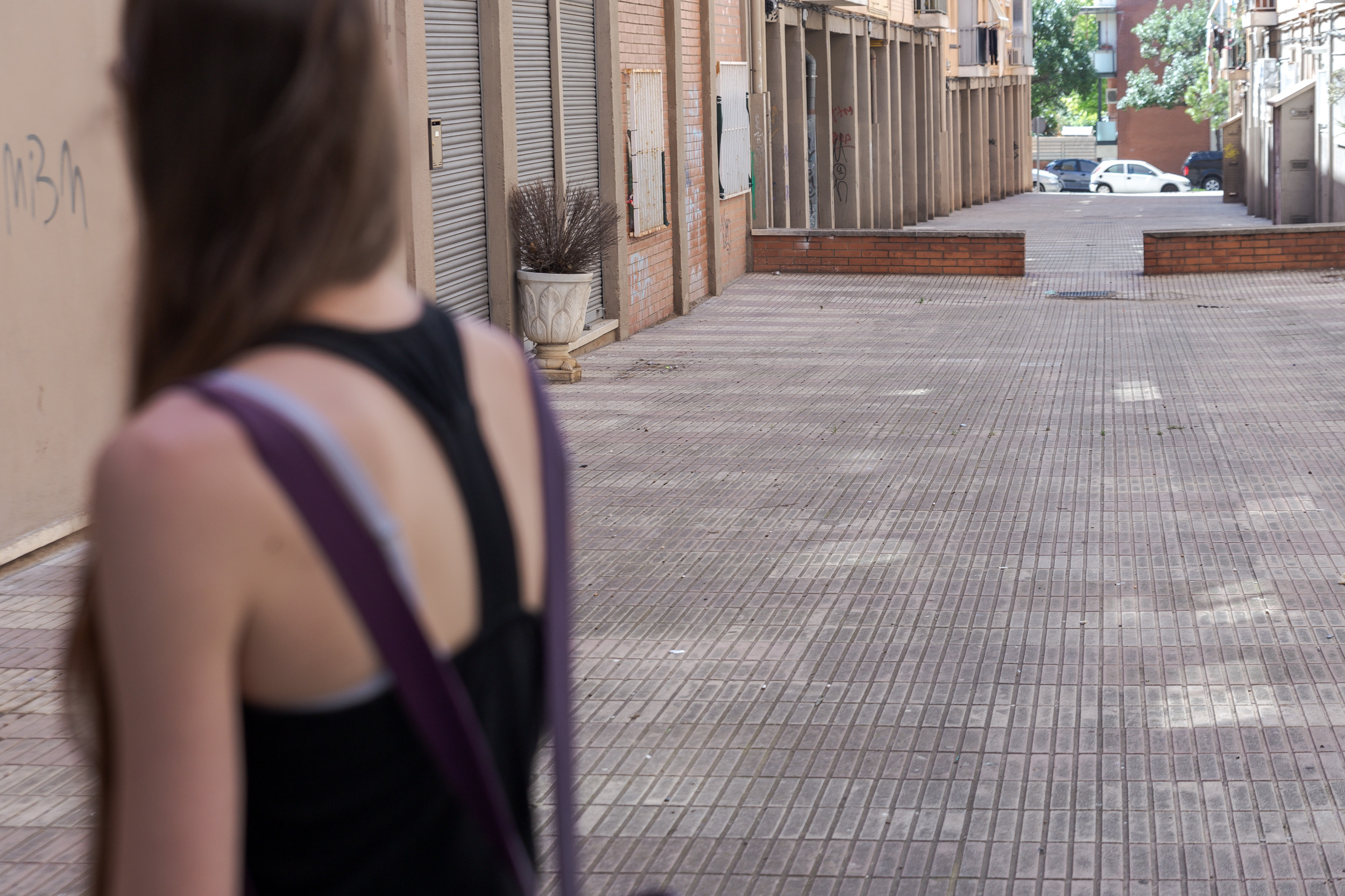 Ferida greu en ser atacada per un gos a Terrassa