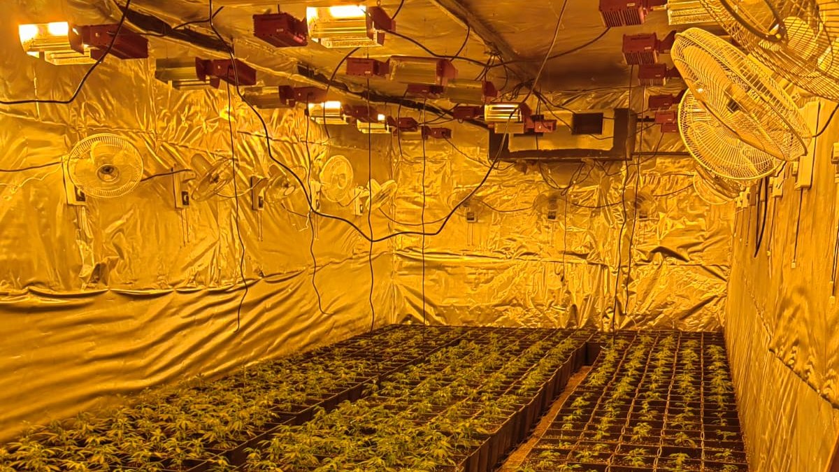 Terrassa, la quarta ciutat vallesana amb més electricitat defraudada per cultius de marihuana