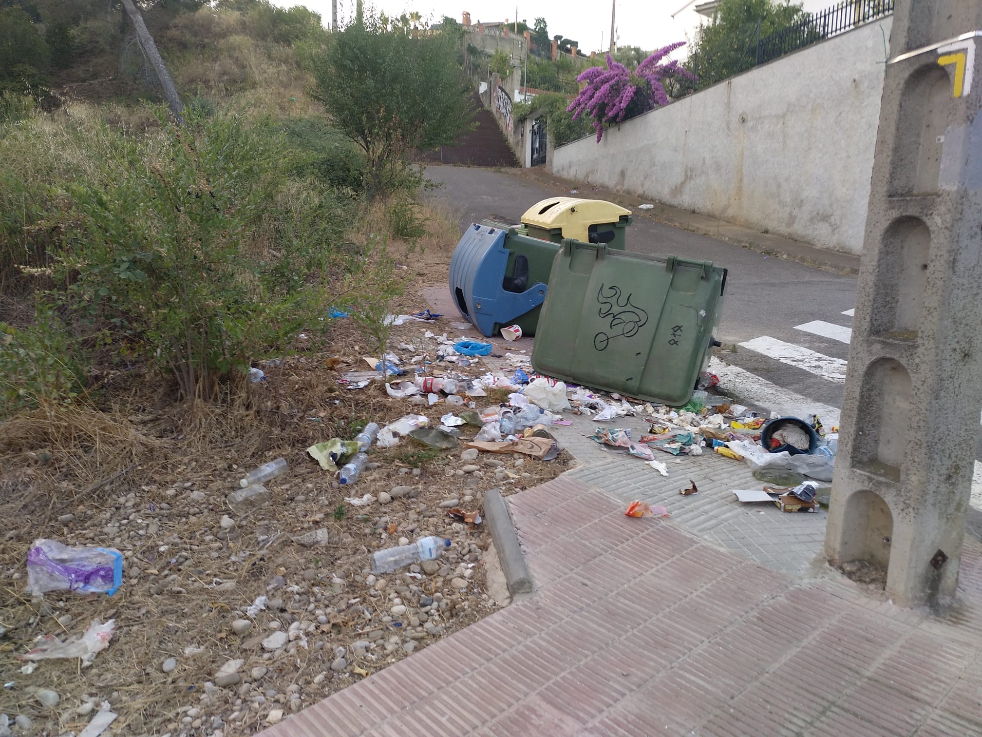 Barres per evitar que els senglars bolquin contenidors a Terrassa