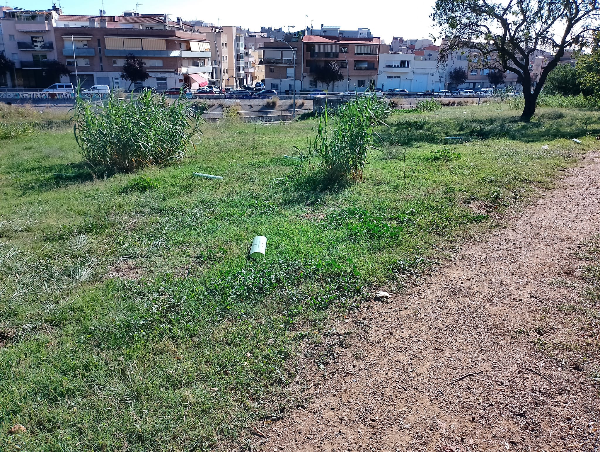 Queixa veïnal per arbres trencats a Terrassa