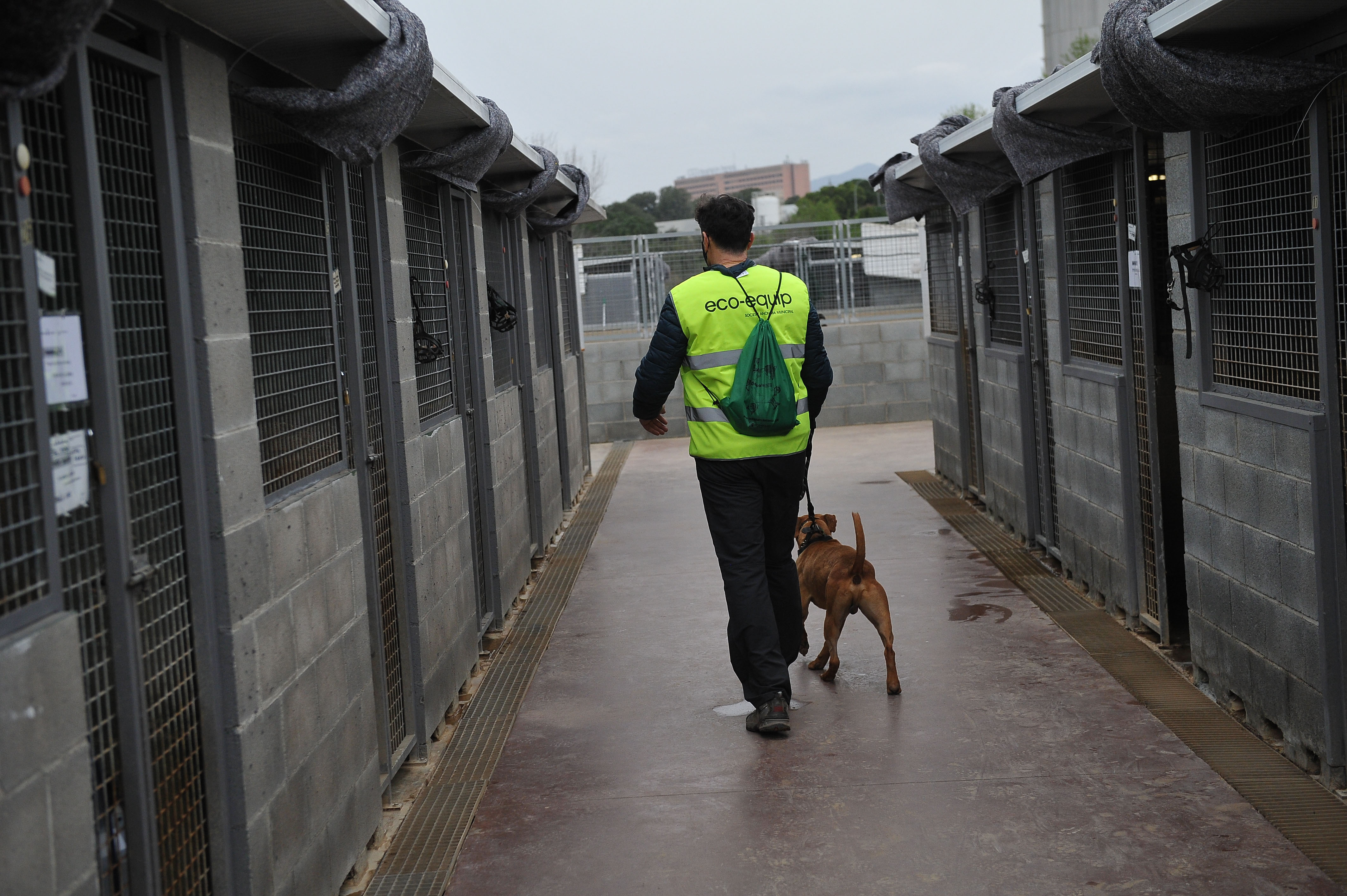 Aprovat per unanimitat el reglament del centre d'animals de Terrassa