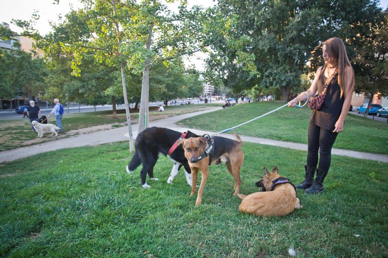 Dues noves zones per a gossos al parc de Vallparadís