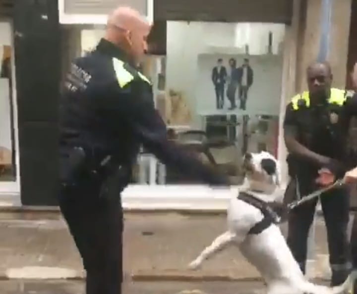 L'Ajuntament assegura mesures correctores per l'actuació d'un agent de policia contra un gos