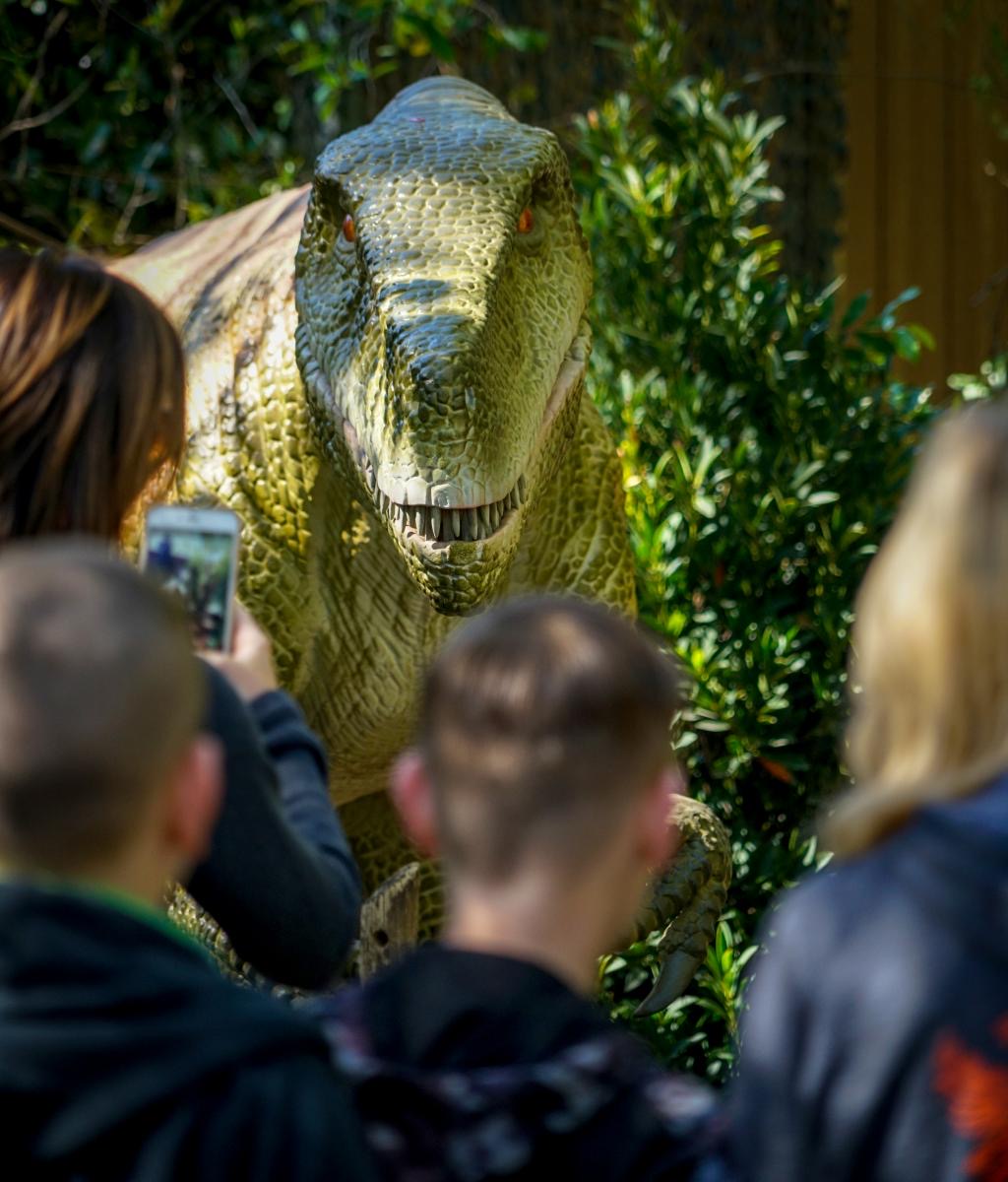 Endinsar-se en la història dels dinosaures amb peces a mida real