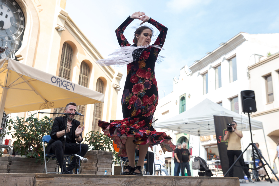 Terrassa viu el flamenc al carrer