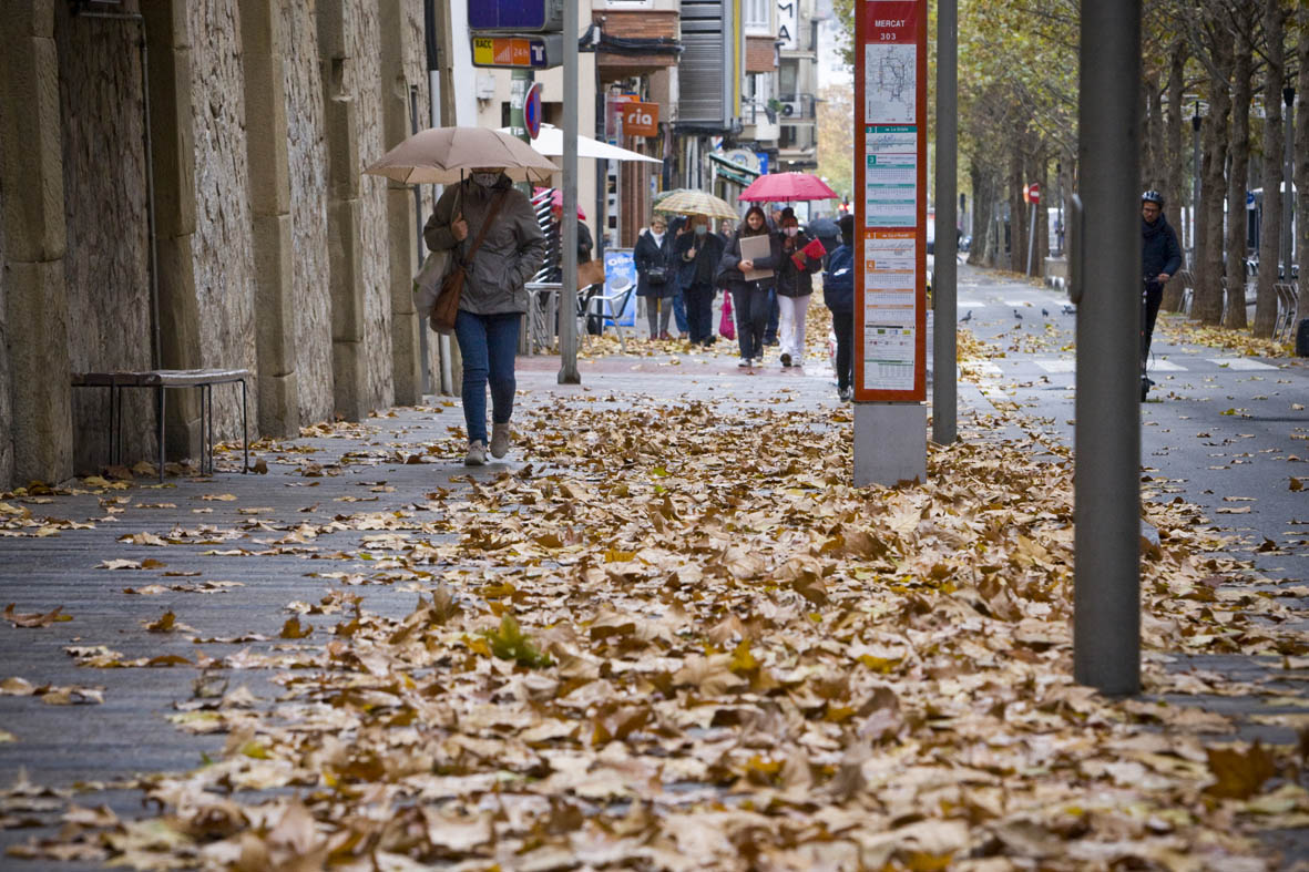 Operació especial per recollir fulles dels carrers de Terrassa