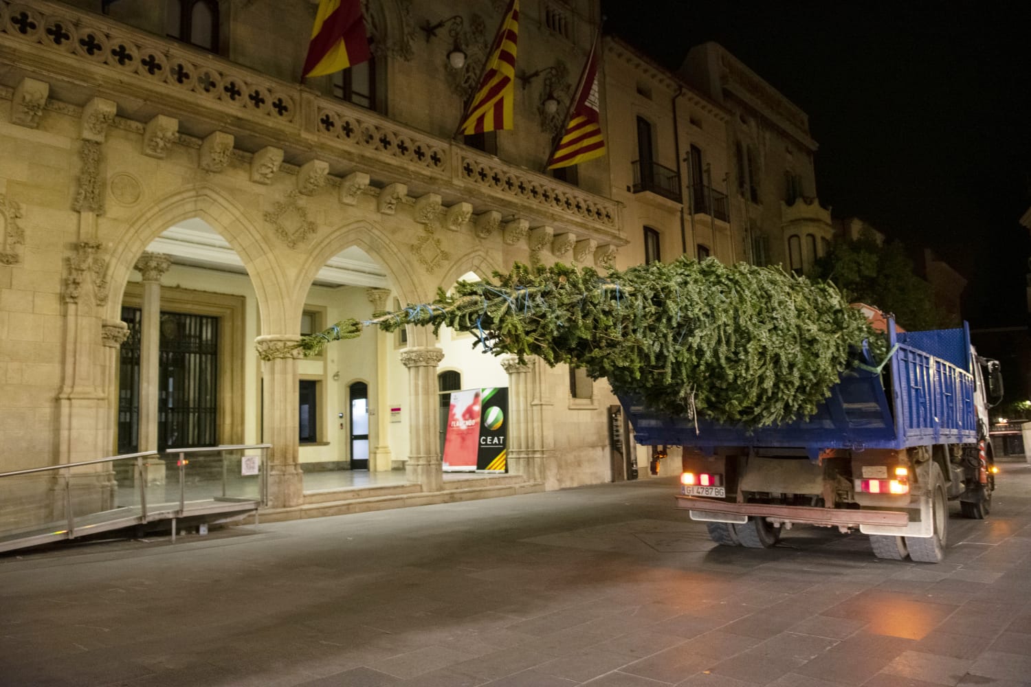 Terrassa tindrà enguany dos grans avets de Nadal