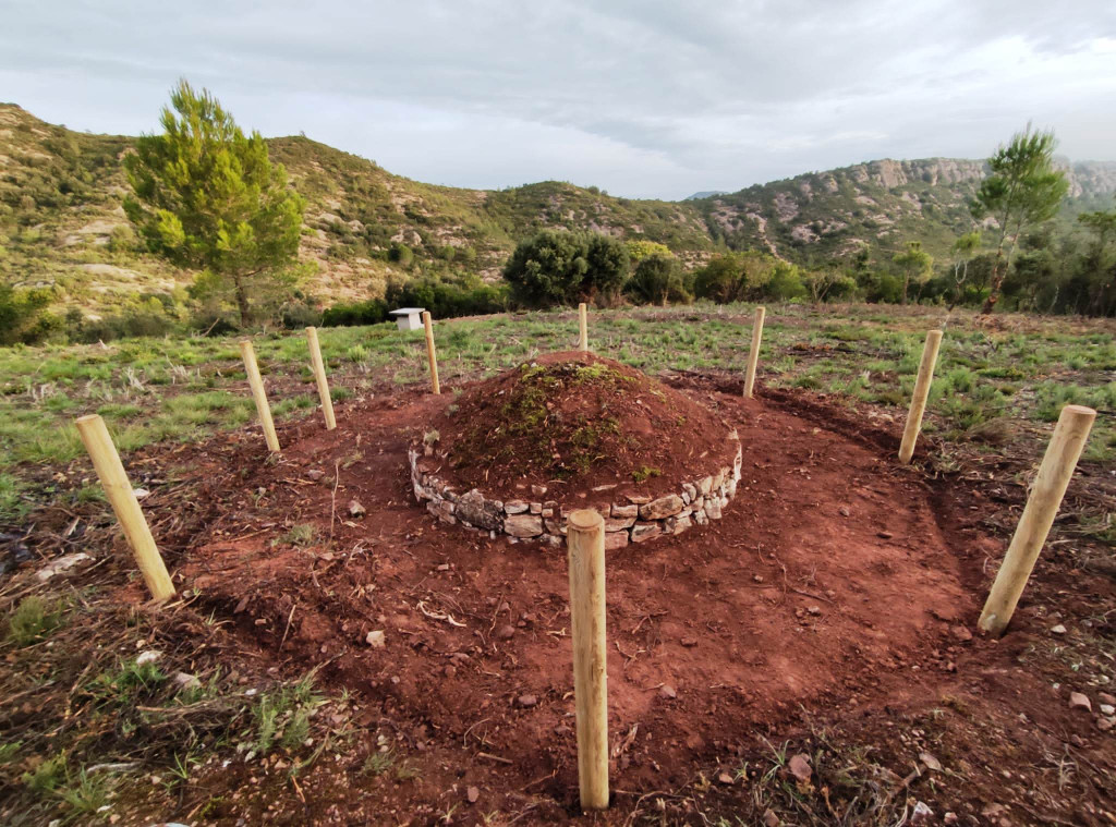 Projecte per recuperar el conill a Vacarisses