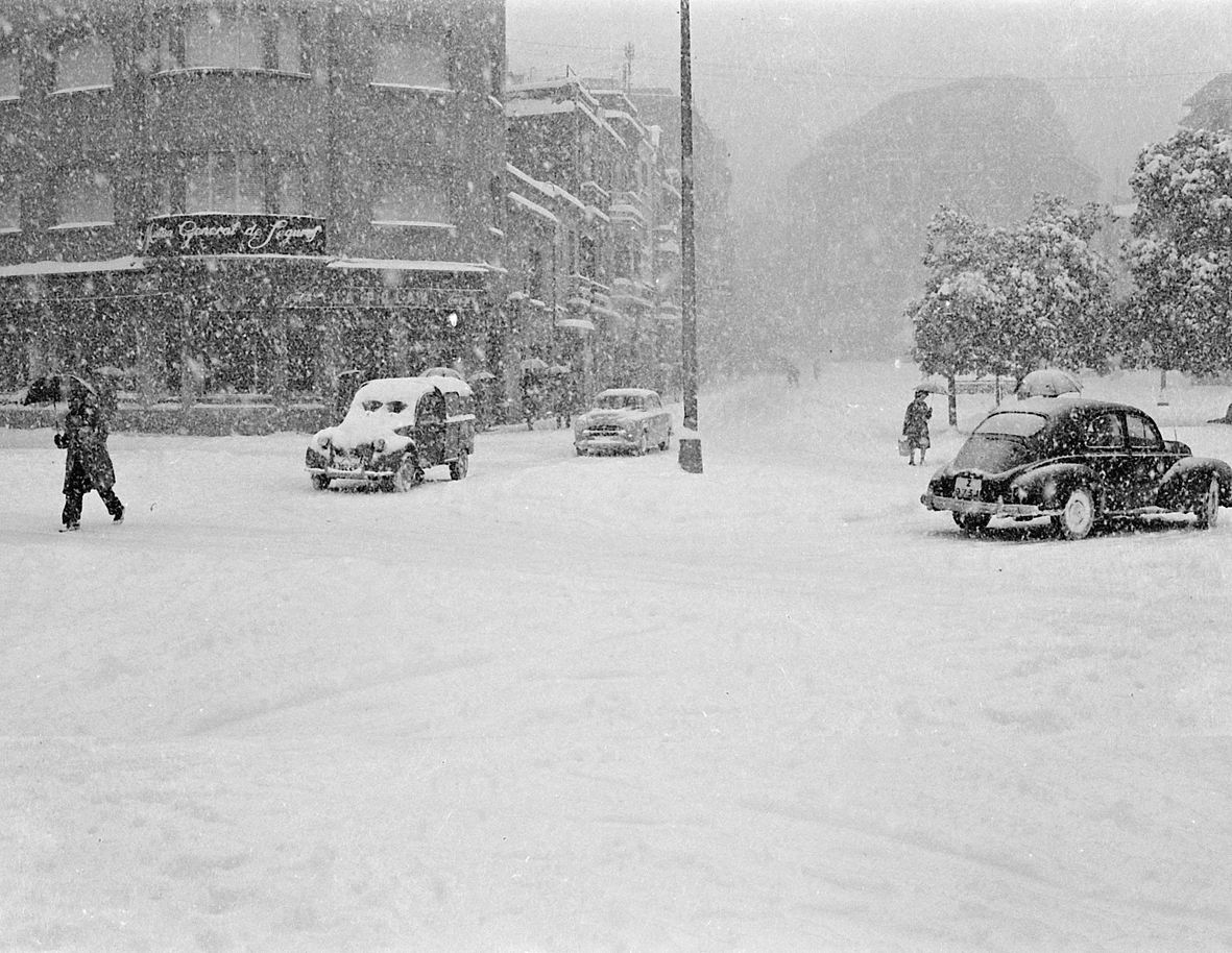 El dia que la neu es va alçar fins a la cintura