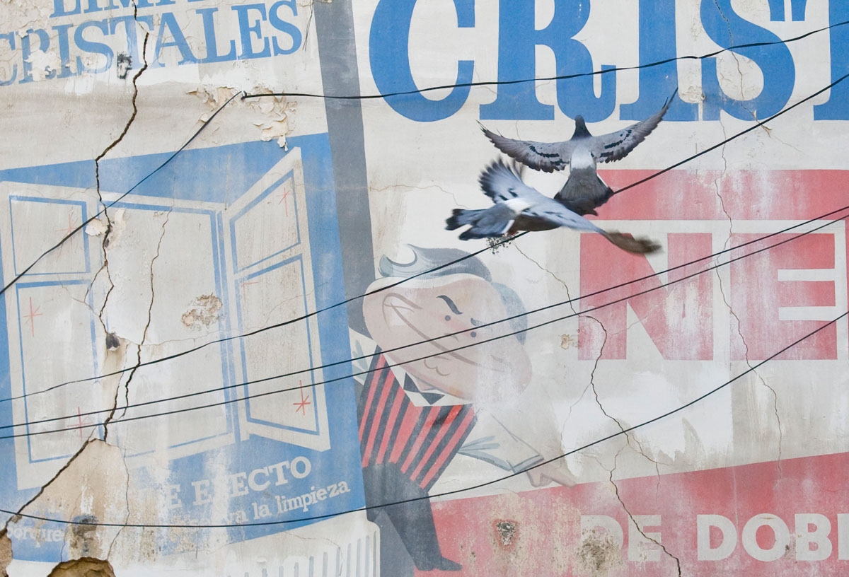 Resum de l'any: a l'abril es va fer un troballa històrica a la Font Vella