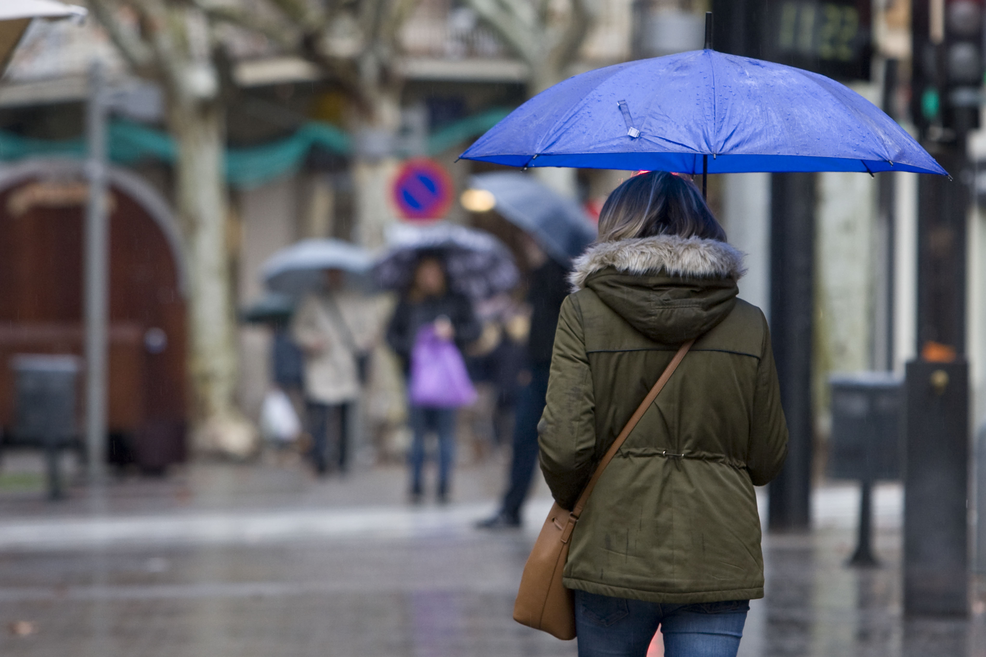 Cel ennuvolat i precipitació en forma d'aigua o neu