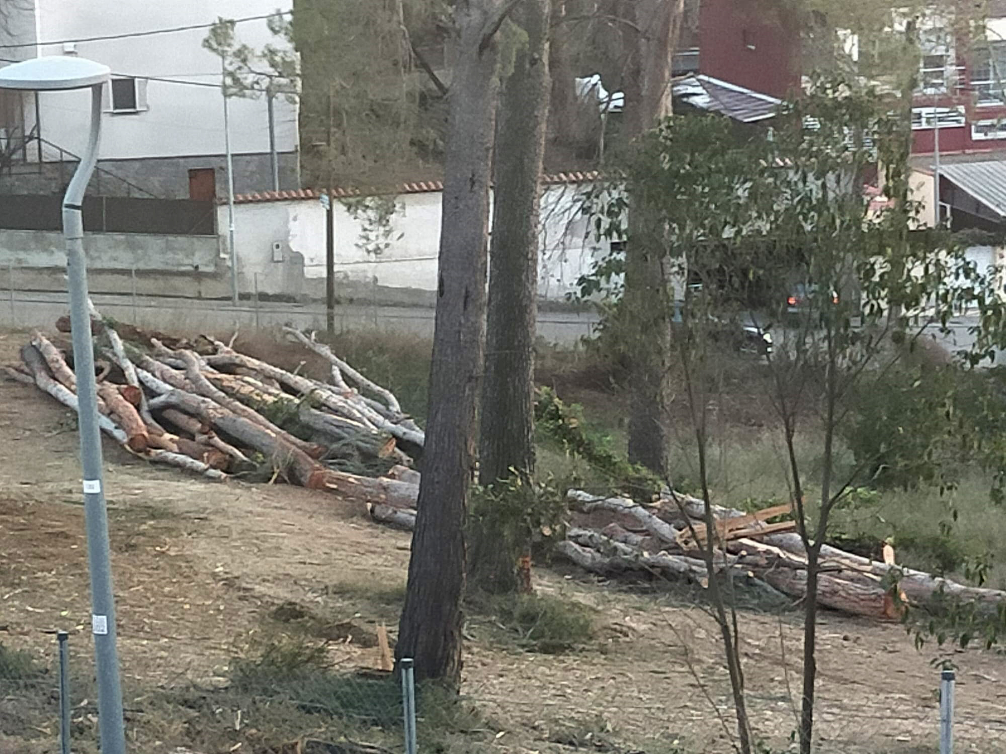 Més queixes per la tala d'arbres a les Fonts de Terrassa - 