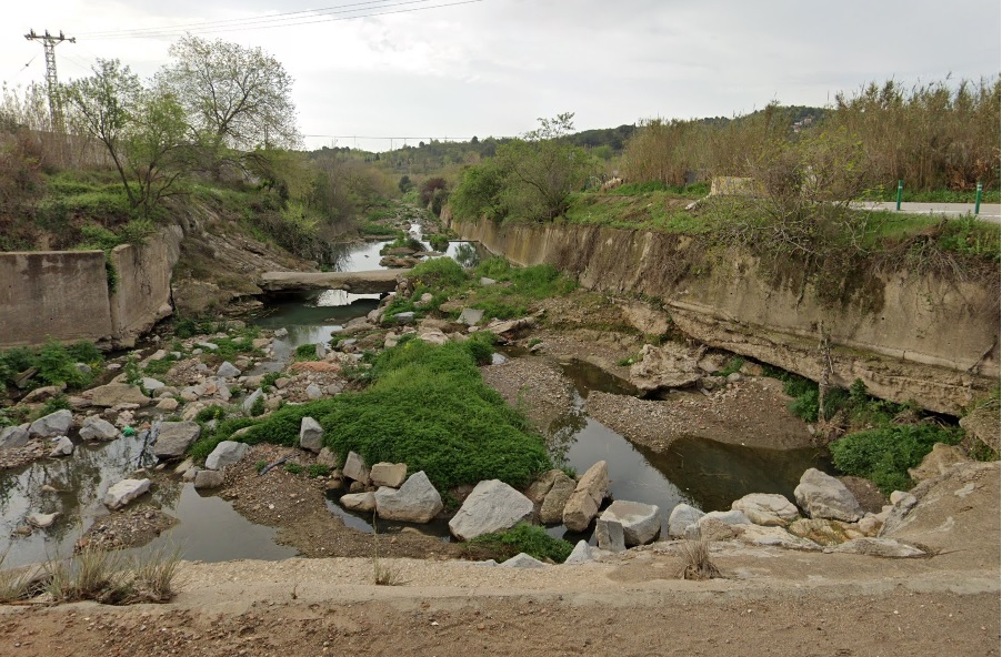 Dos gossos, rescatats en una riera a Terrassa