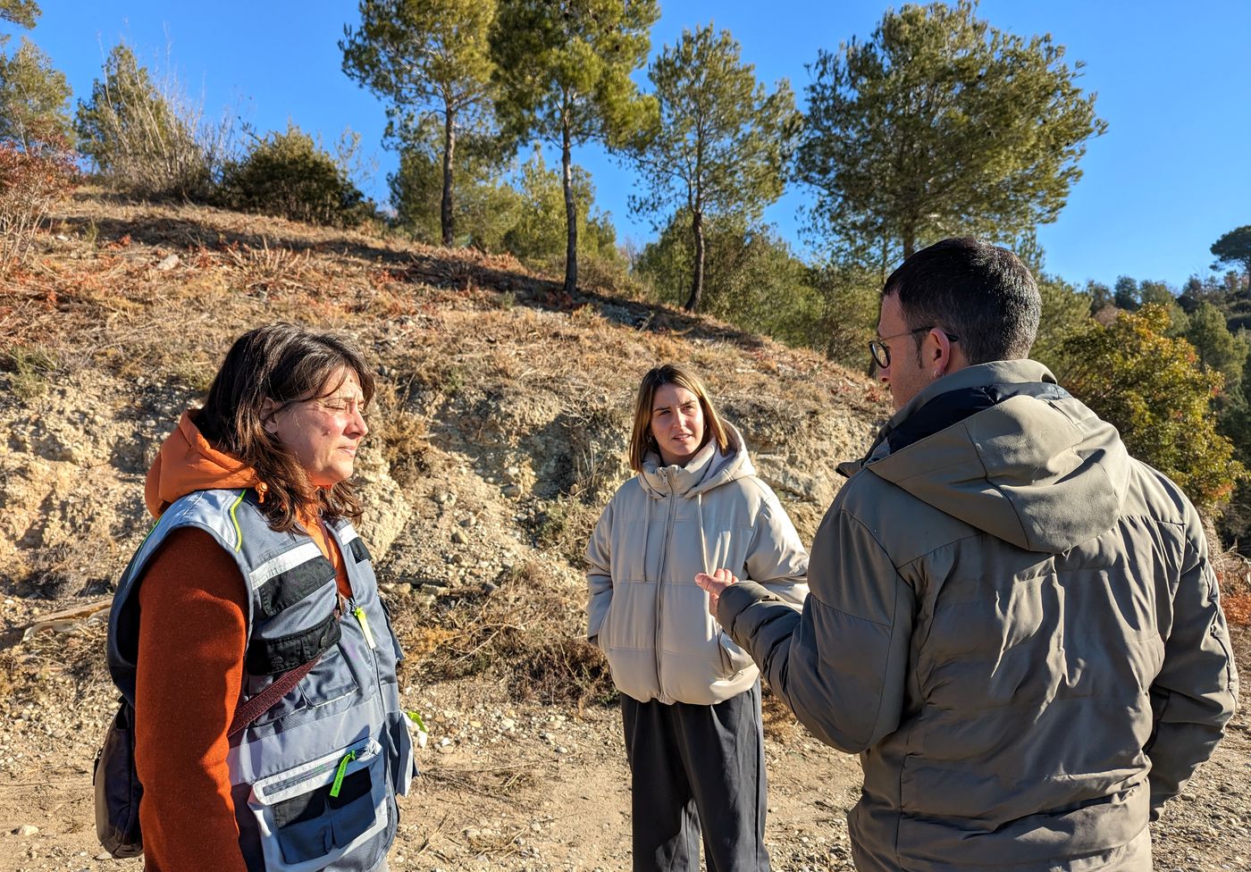 Arrangen la franja de baixa combustibilitat de les Fonts