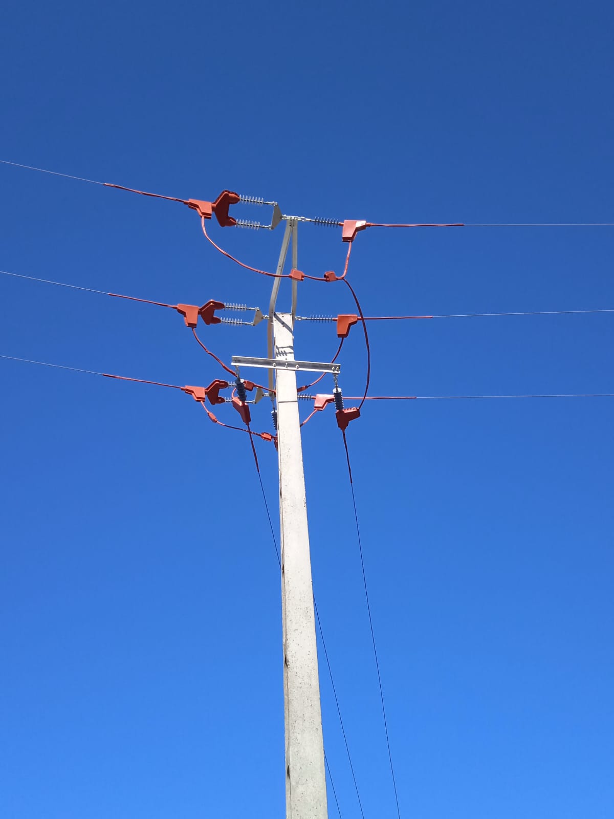 Obres a torres elèctriques per protegir ocells
