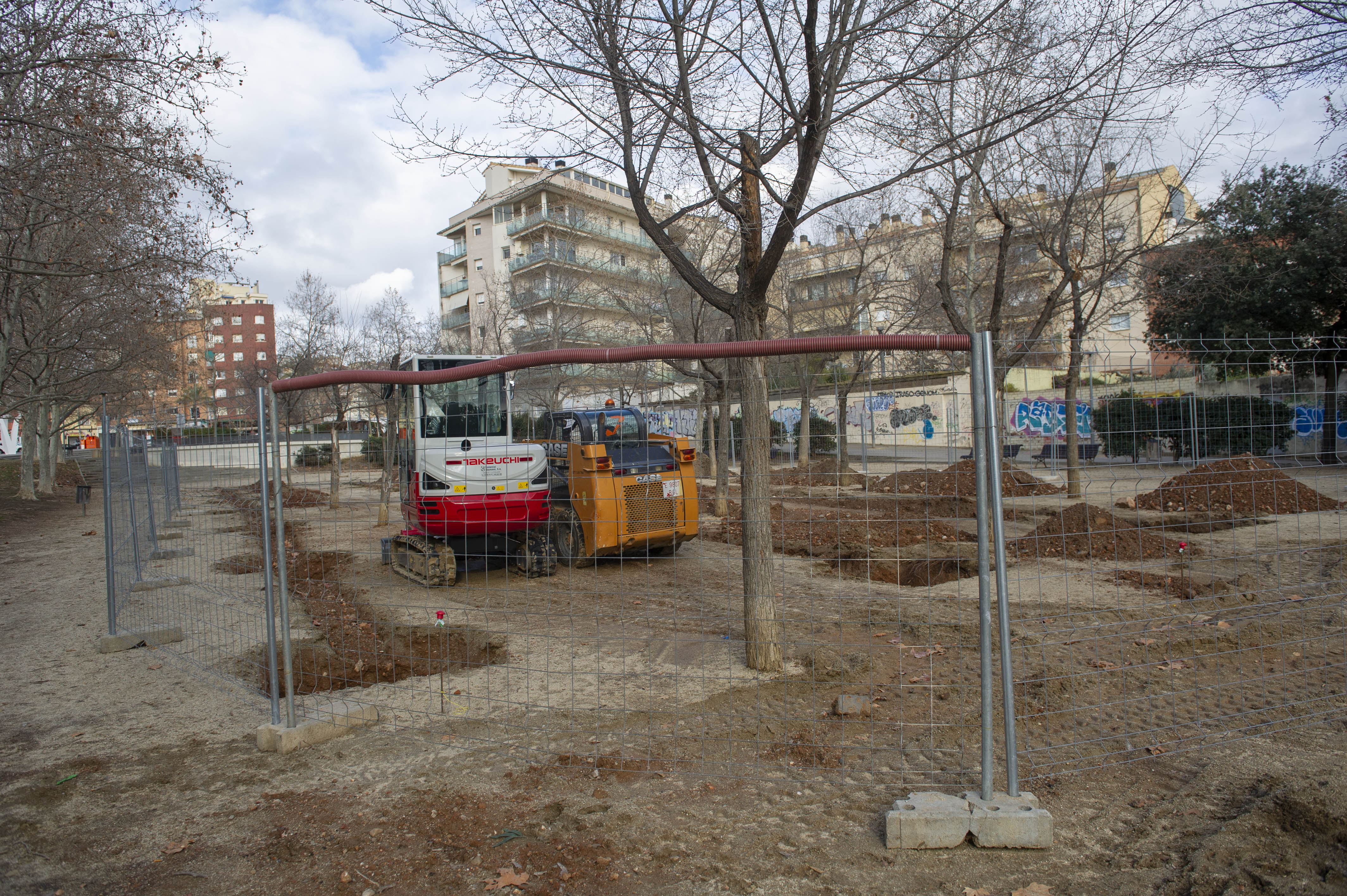 Arbres nous per a la part nord del parc de Vallparadís de Terrassa