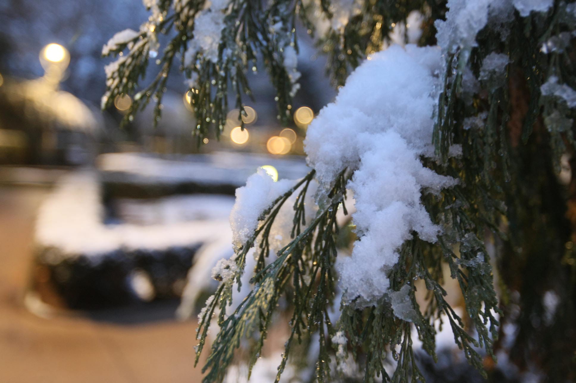 Torna a nevar a Terrassa - 