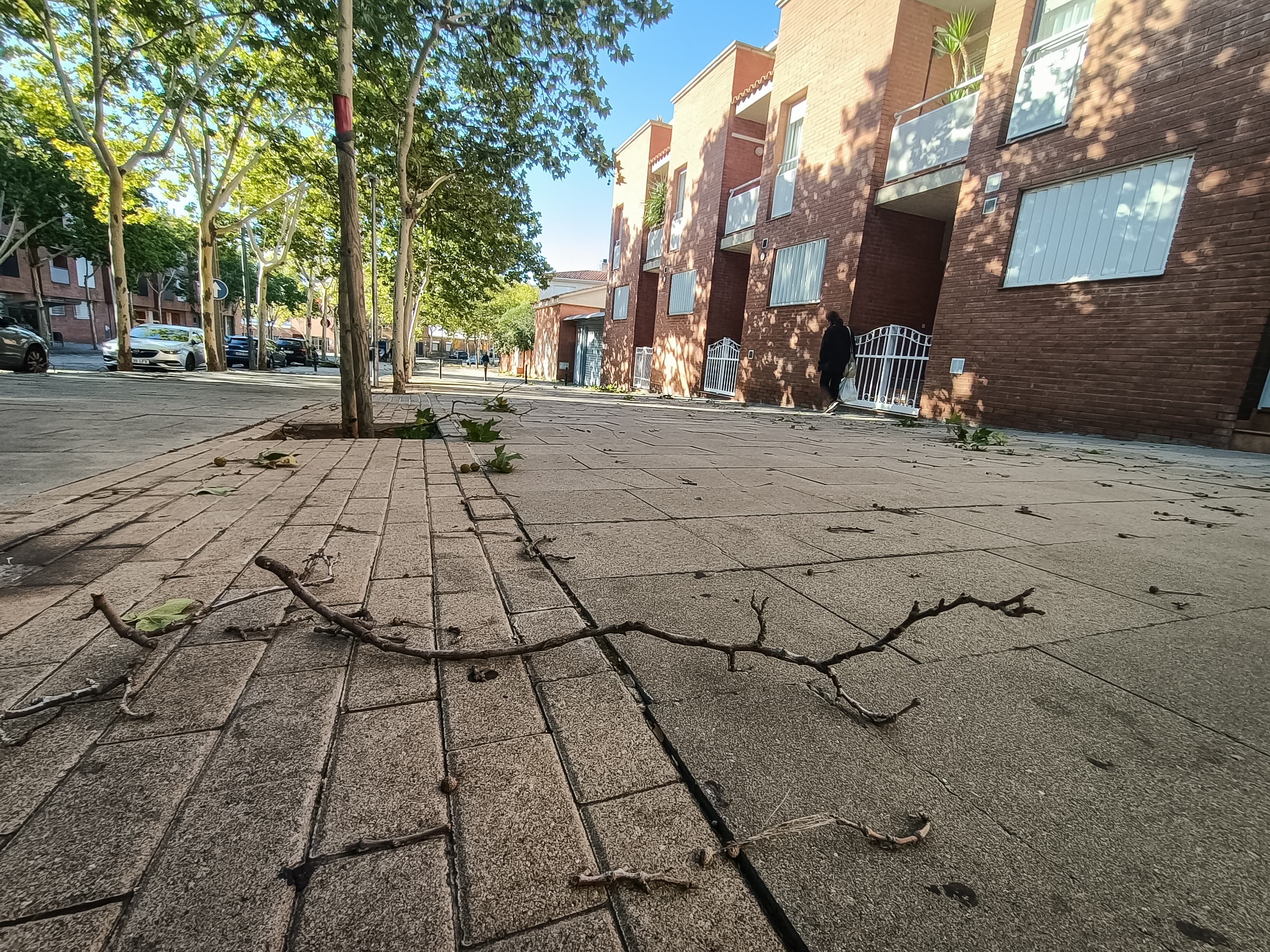 Ferit un home en caure-li un arbre damunt la furgoneta a Sabadell