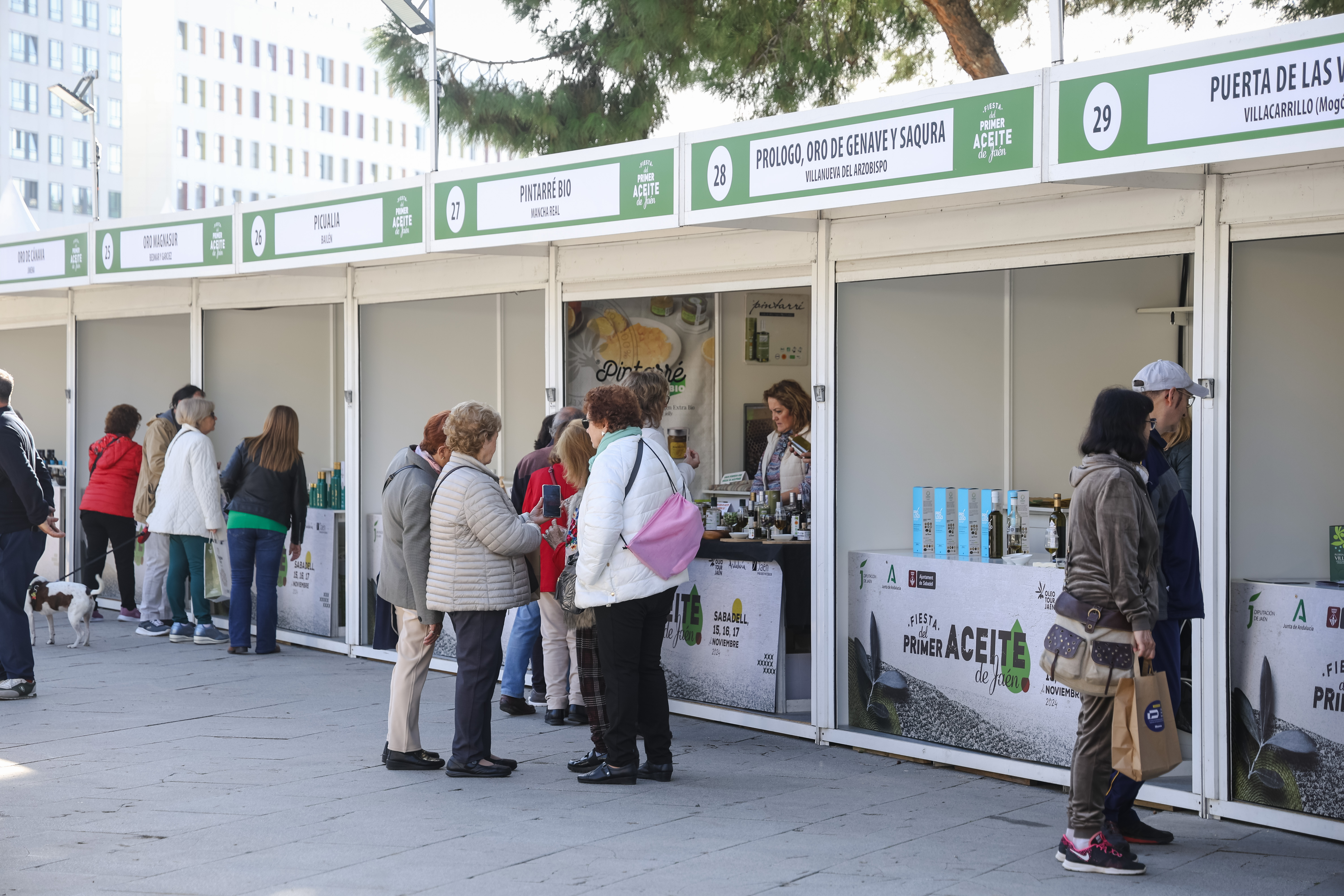ERC demana explicacions sobre la Festa del Primer Oli de Jaén a Sabadell