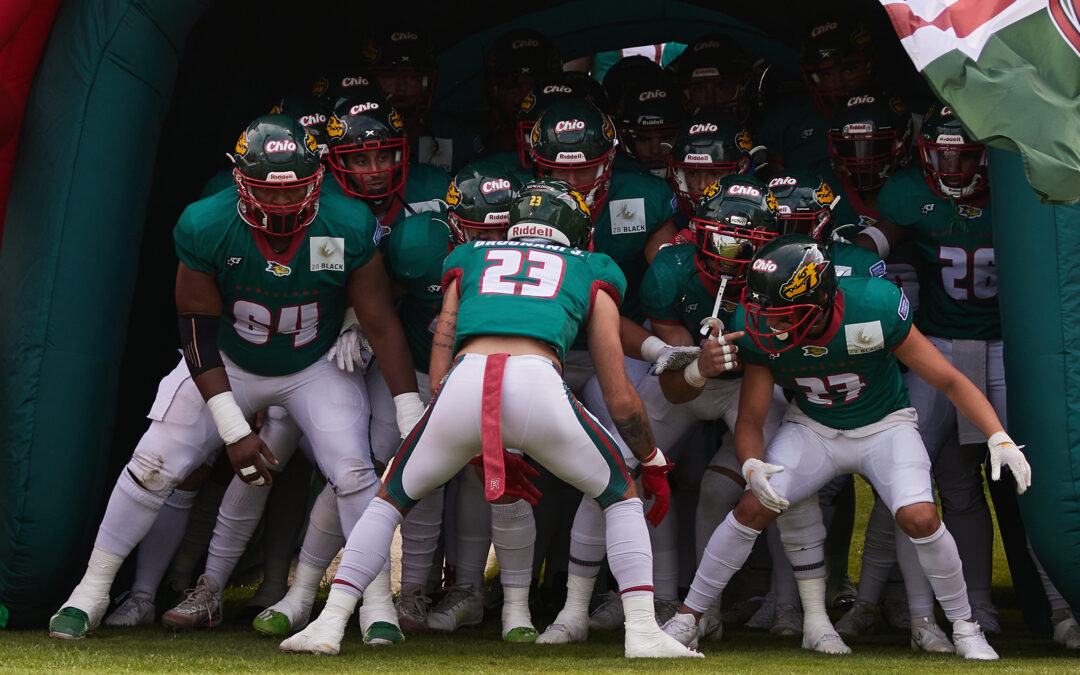 Els Barcelona Dragons jugaran la lliga europea a l'Estadi Olímpic de Terrassa