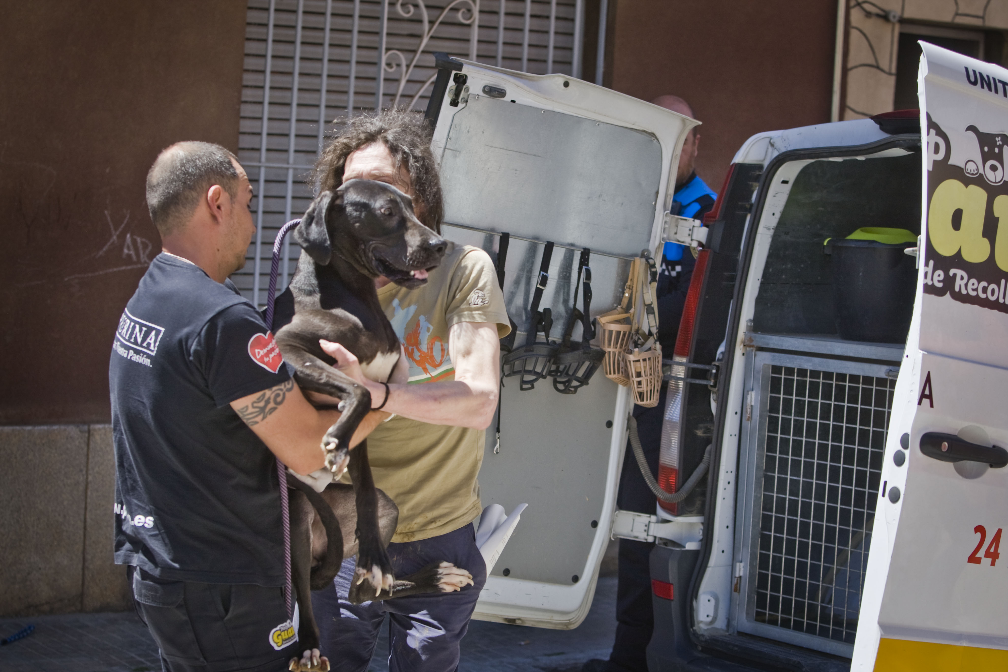 Condemnat a presó per maltractament animal a Terrassa