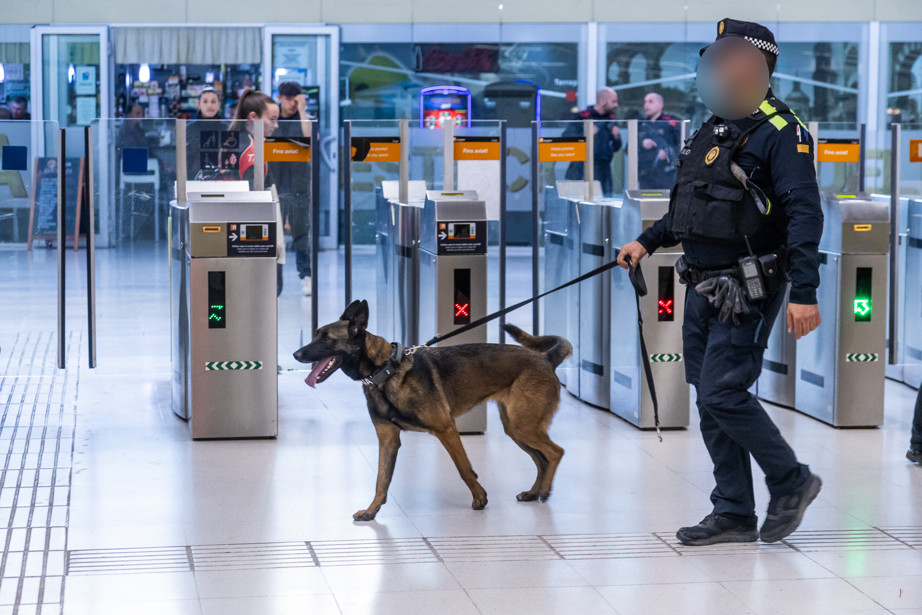 Un detingut i vint denúncies per tràfic de drogues a les estacions de Renfe