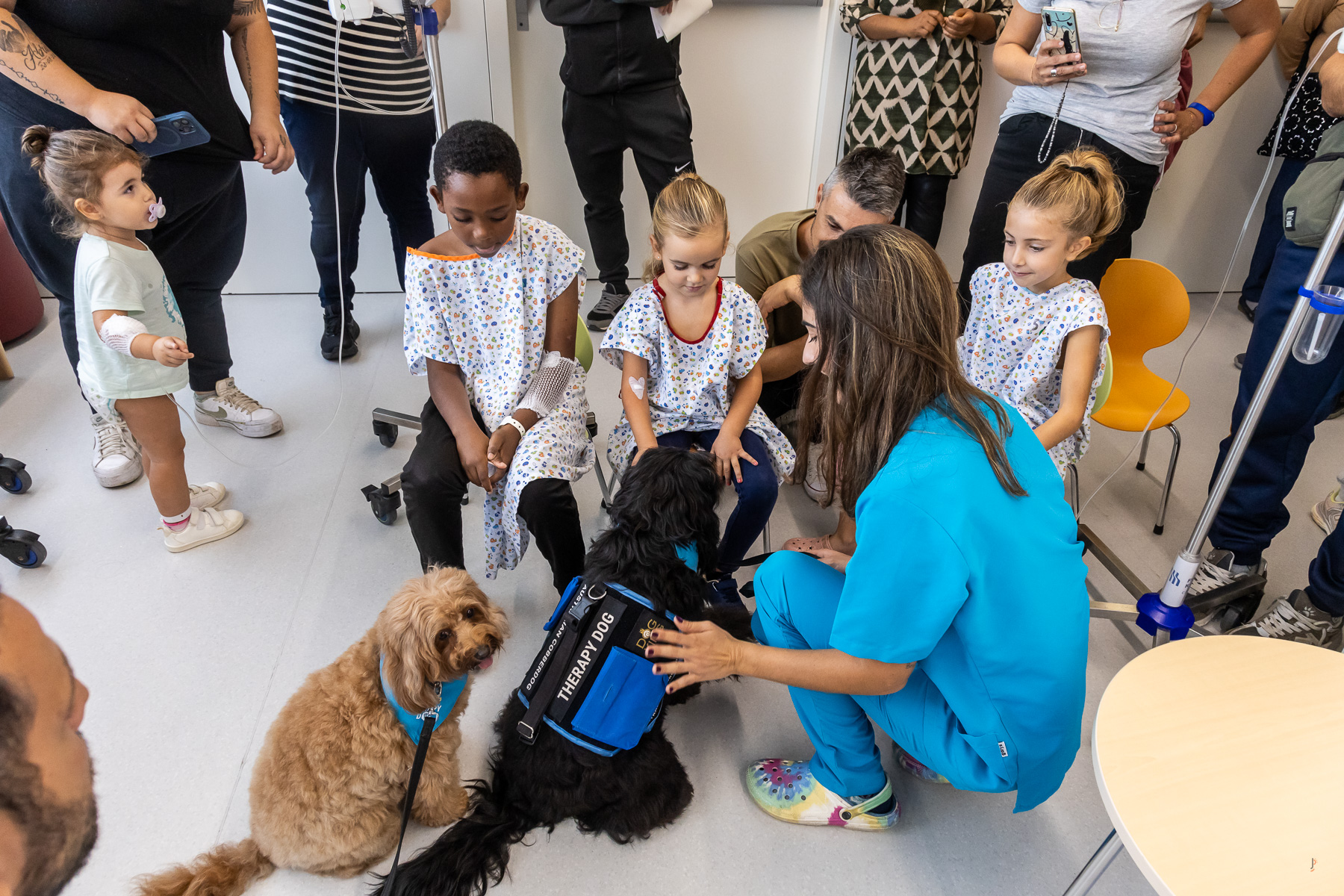 VÍDEO | La Kupra i la Missy, la visita que els pacients pediàtrics del Taulí esperen cada setmana