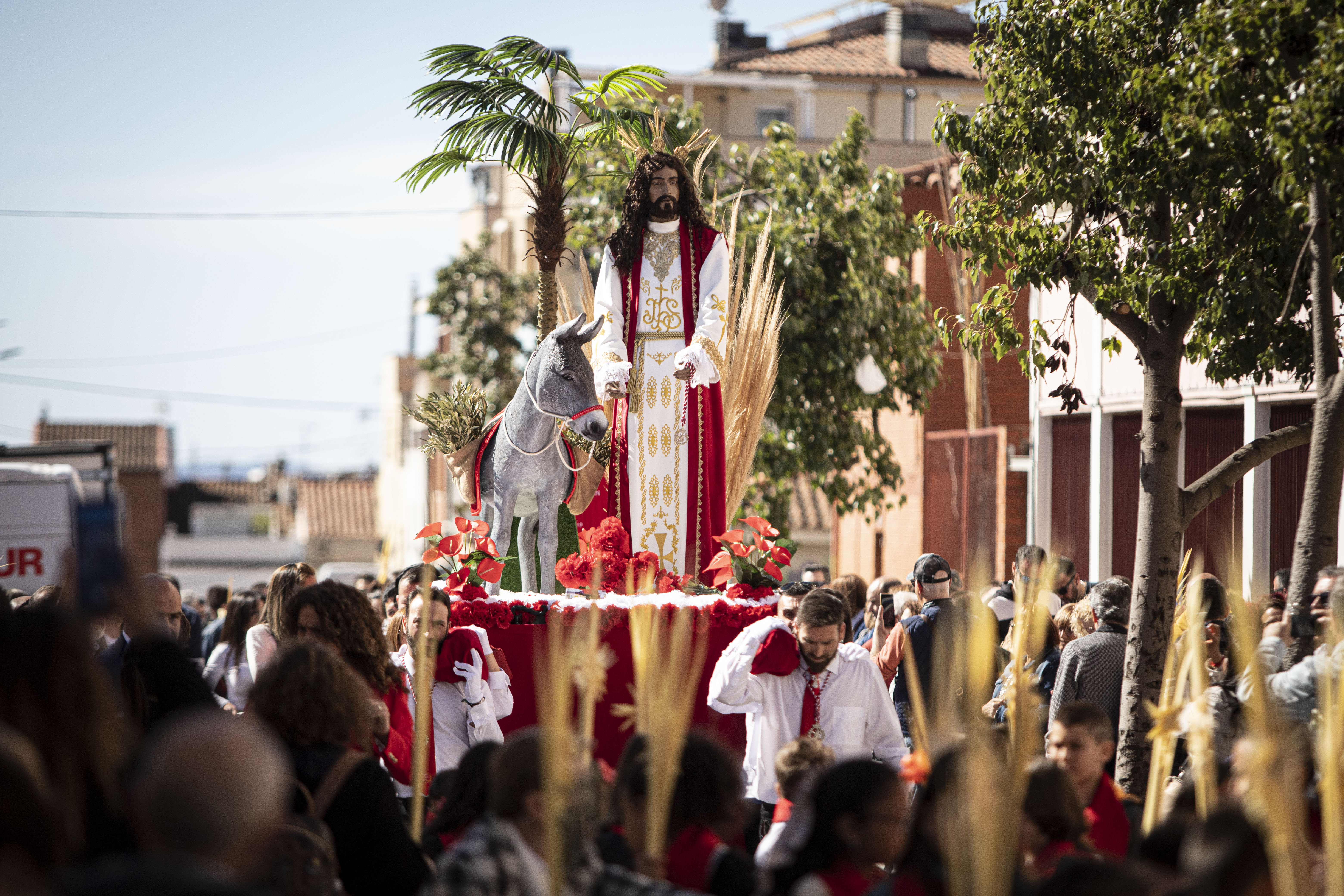FOTOGALERIA | Processó de la Borriquita