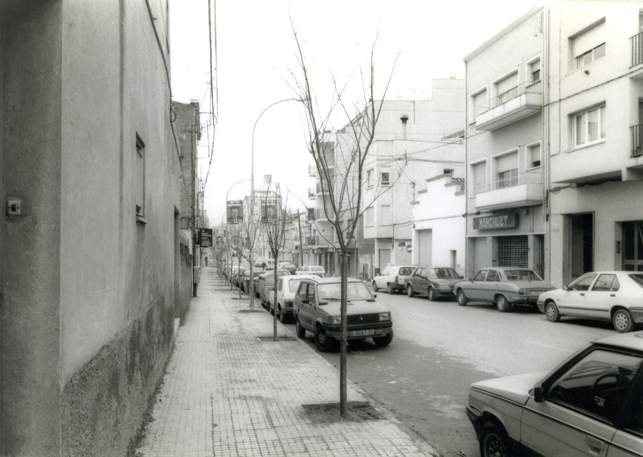 Arbres que creixen forts, com ho va fer el jove Vito