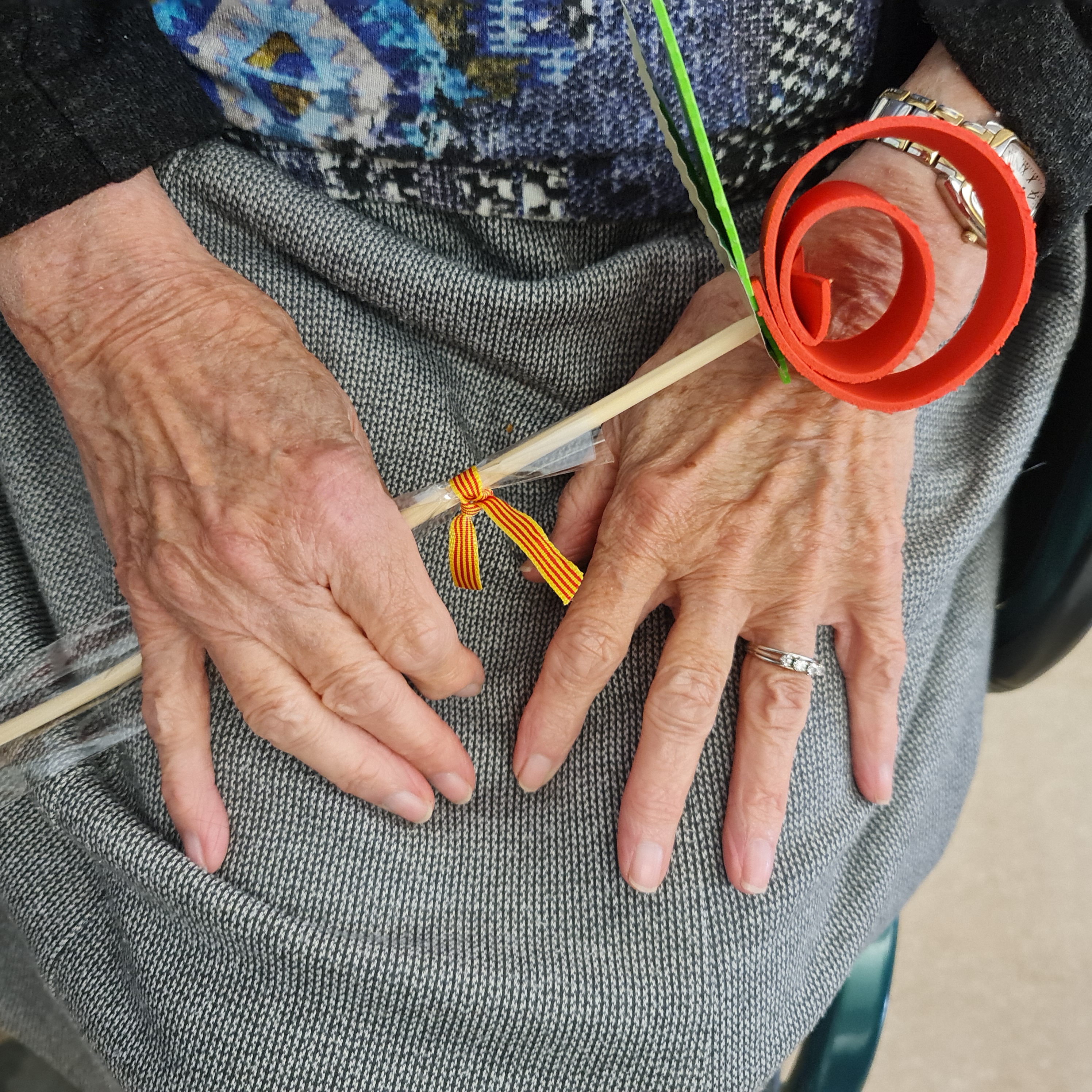 Roses de Sant Jordi per a gent gran i persones amb discapacitat intel·lectual