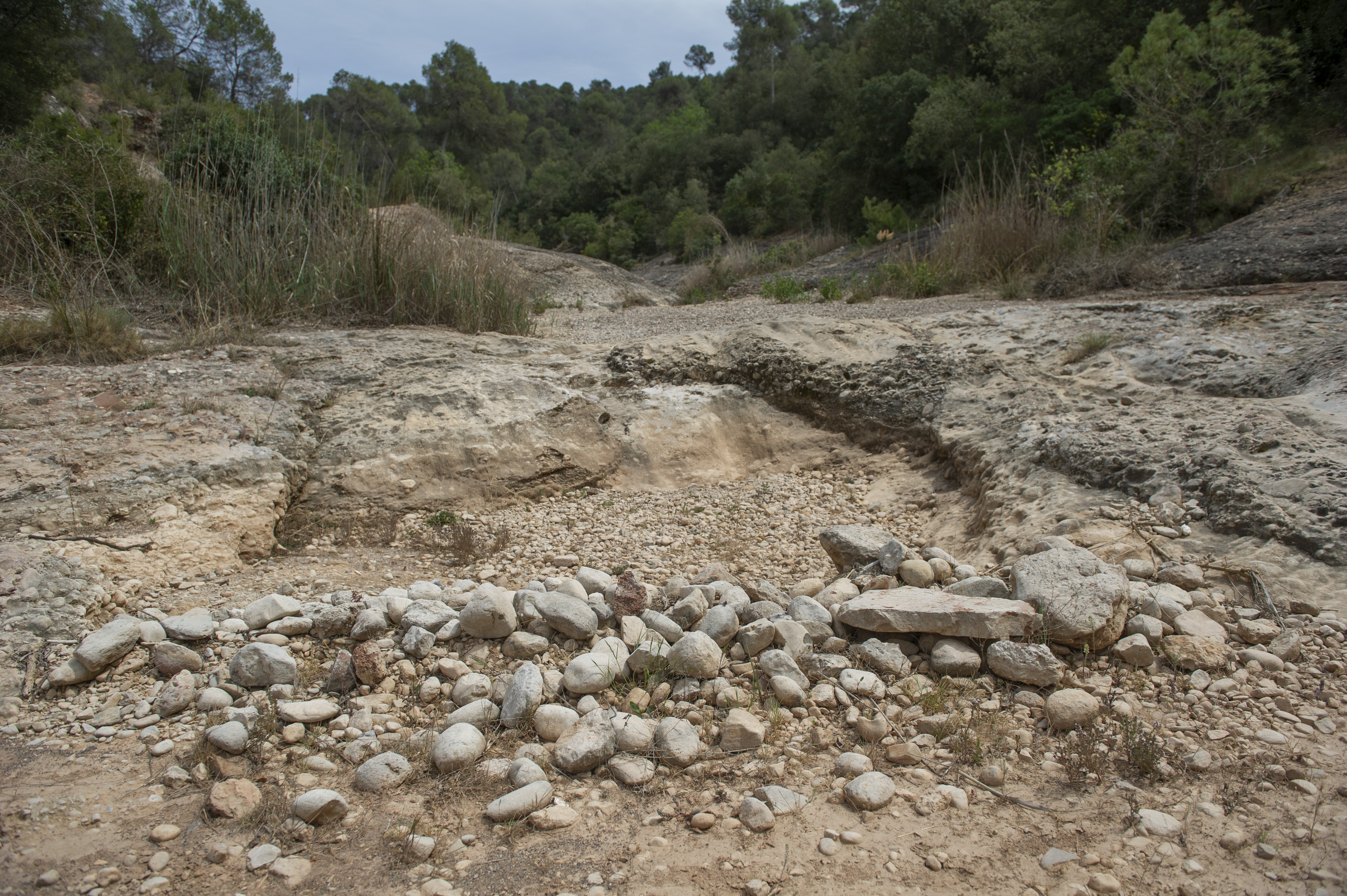 El parc natural pateix estrès hídric