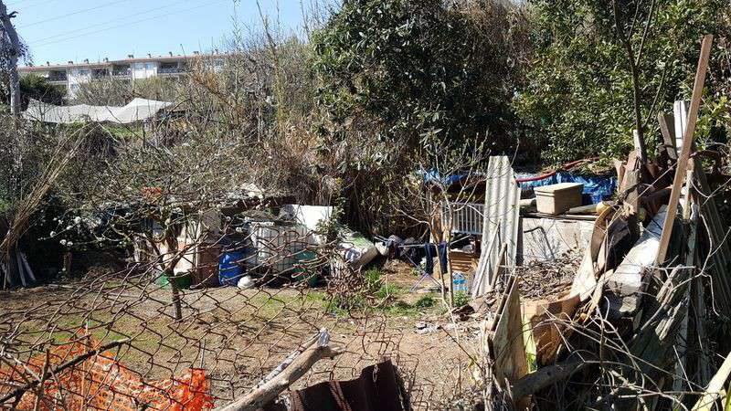 Els horts de la Grípia a Terrassa seran desmantellats en breu