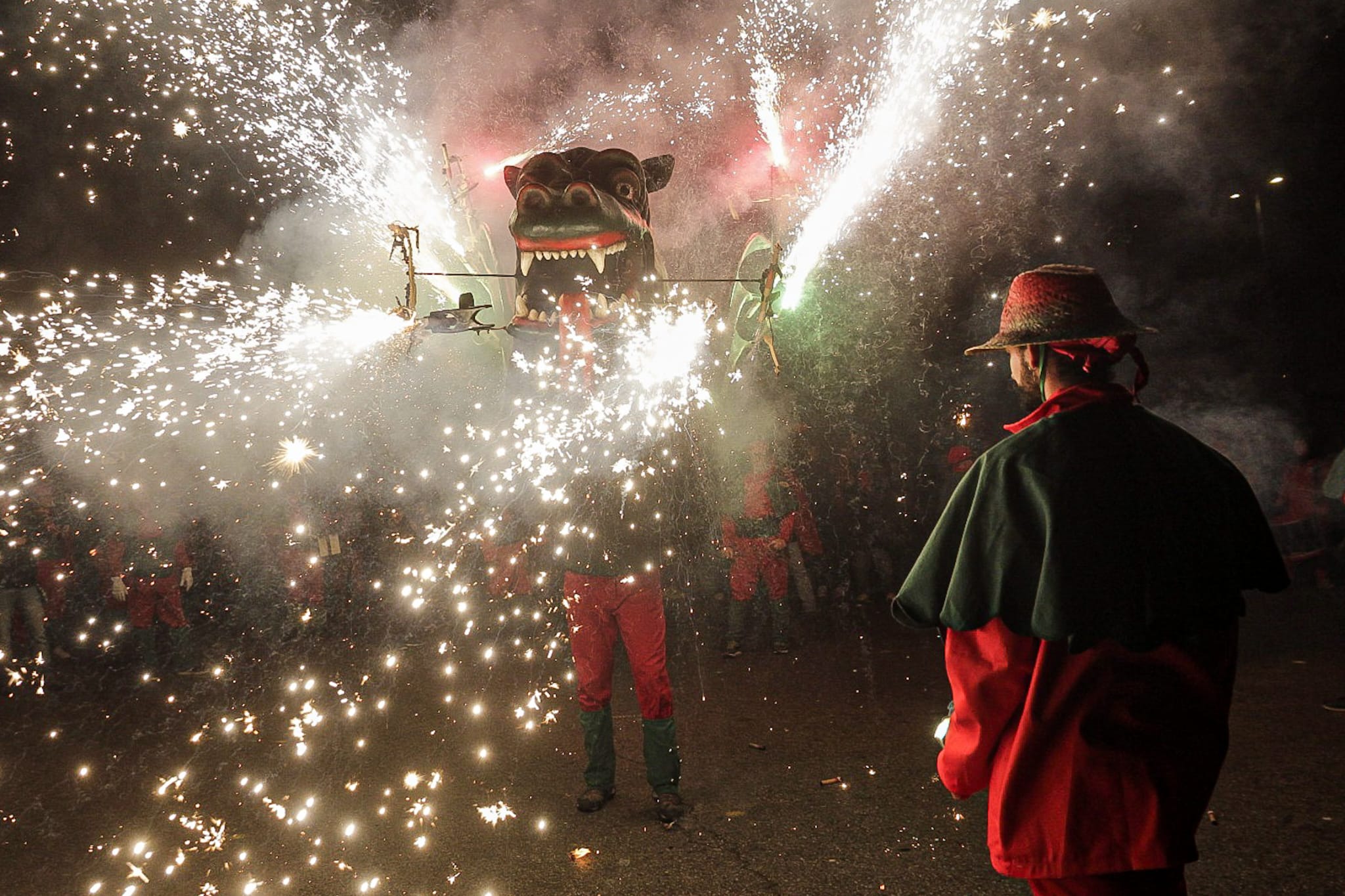 FOTOGALERIA | Diada del Drac de Terrassa