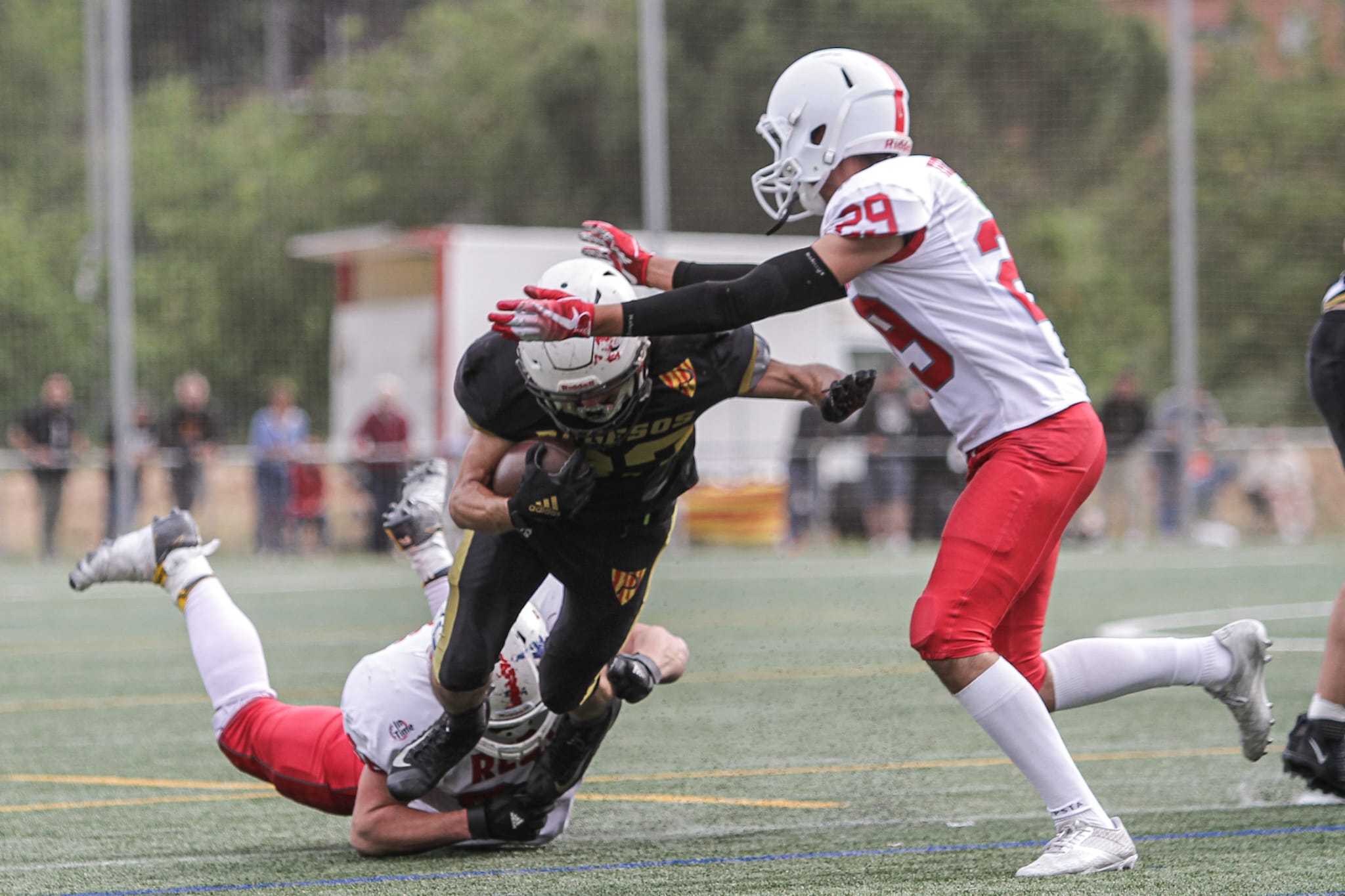 Els Terrassa Reds juguen la final de la sèrie 