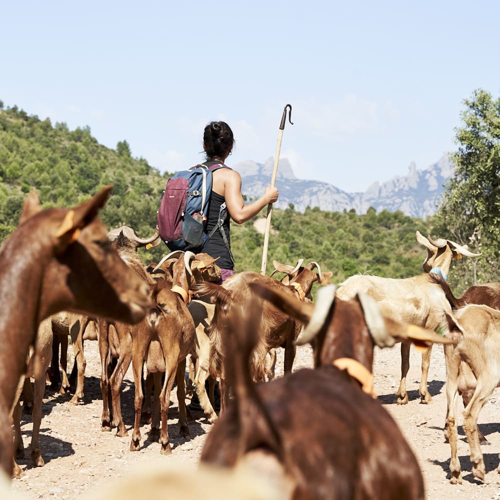 “Cada cop que compres carn del Vallès, lluites contra els incendis”