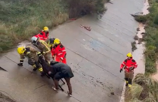 Unes 35 ovelles i xais van morir arrossegades per la riera a Matadepera