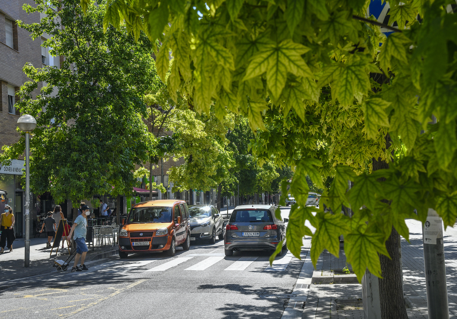 Plantaran més de 300 arbres en carrers amb molt trànsit
