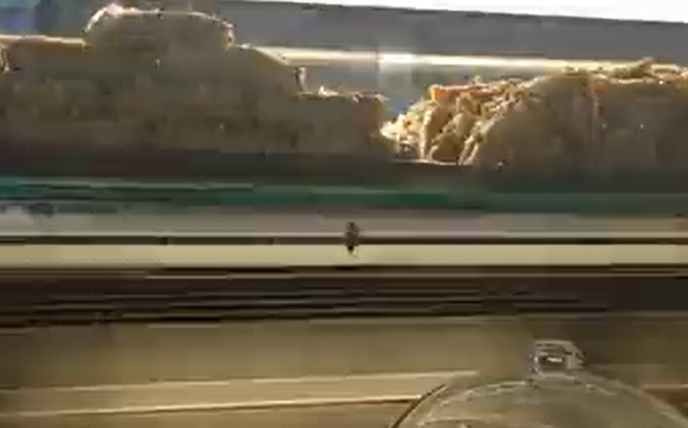 VÍDEO | Tanquen una pastisseria de Terrassa per motius sanitaris