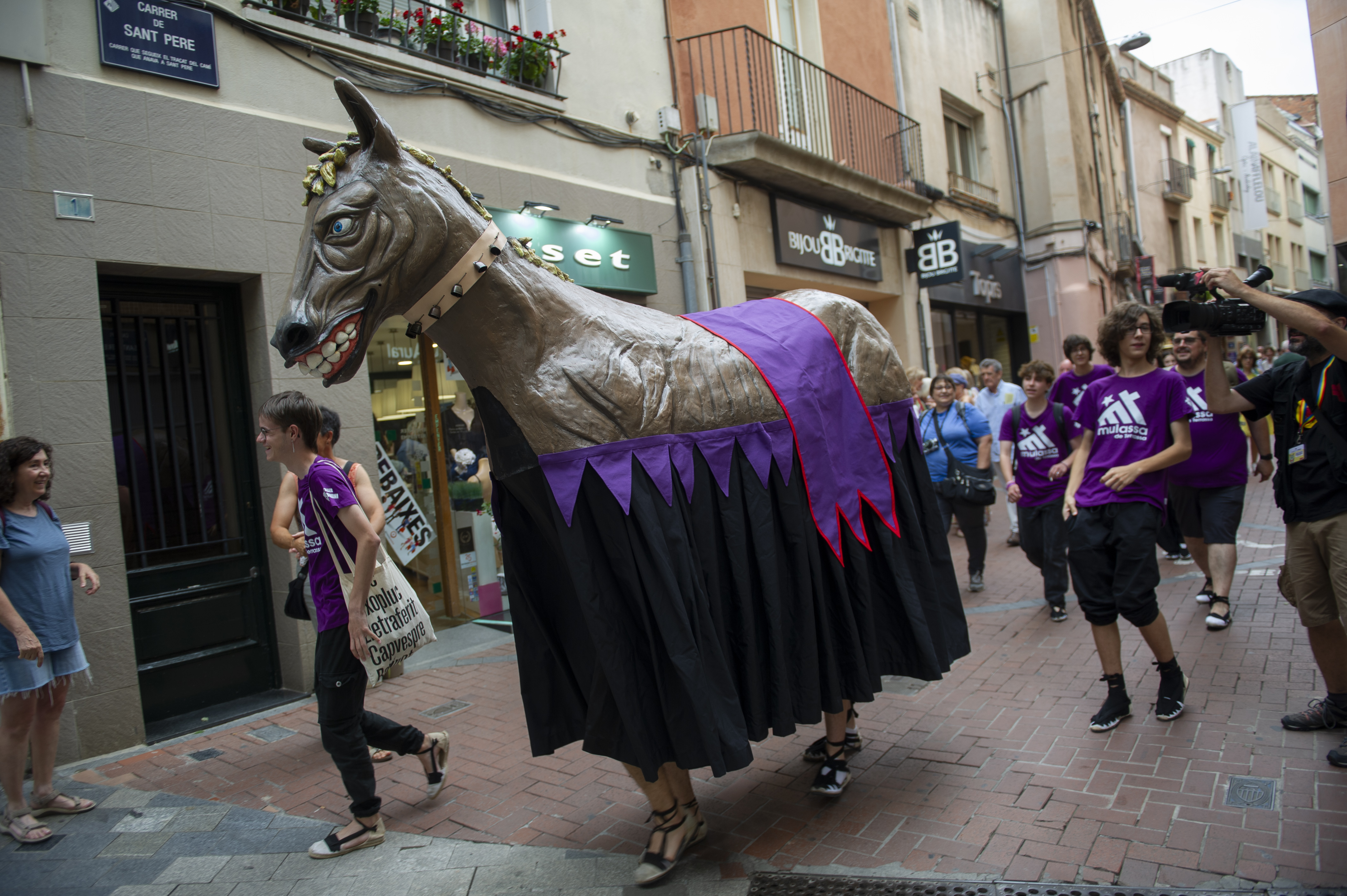 Una mula de Terrassa demana microdonacions