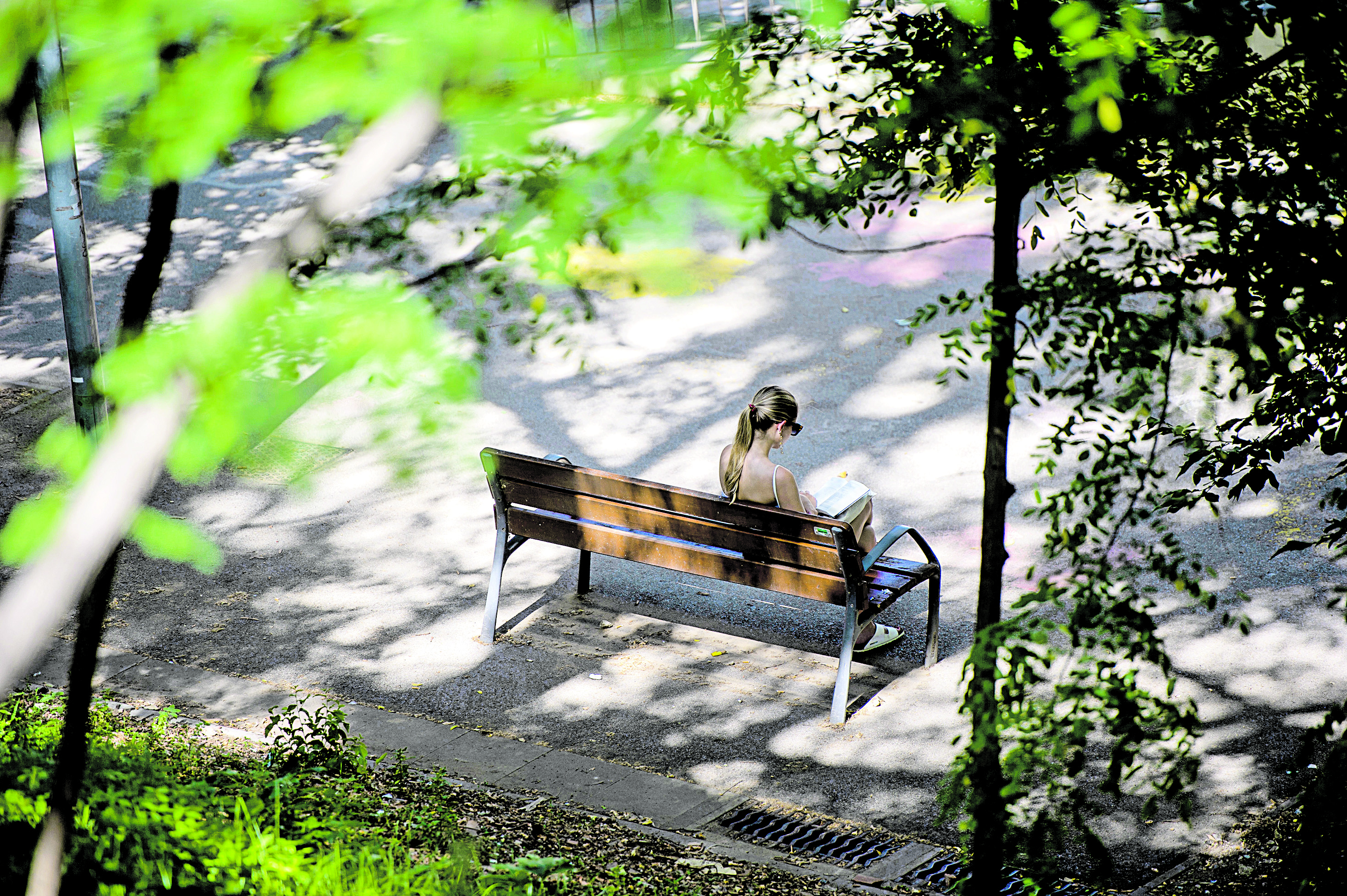 Terrassa podria arribar als 35 graus aquest dilluns