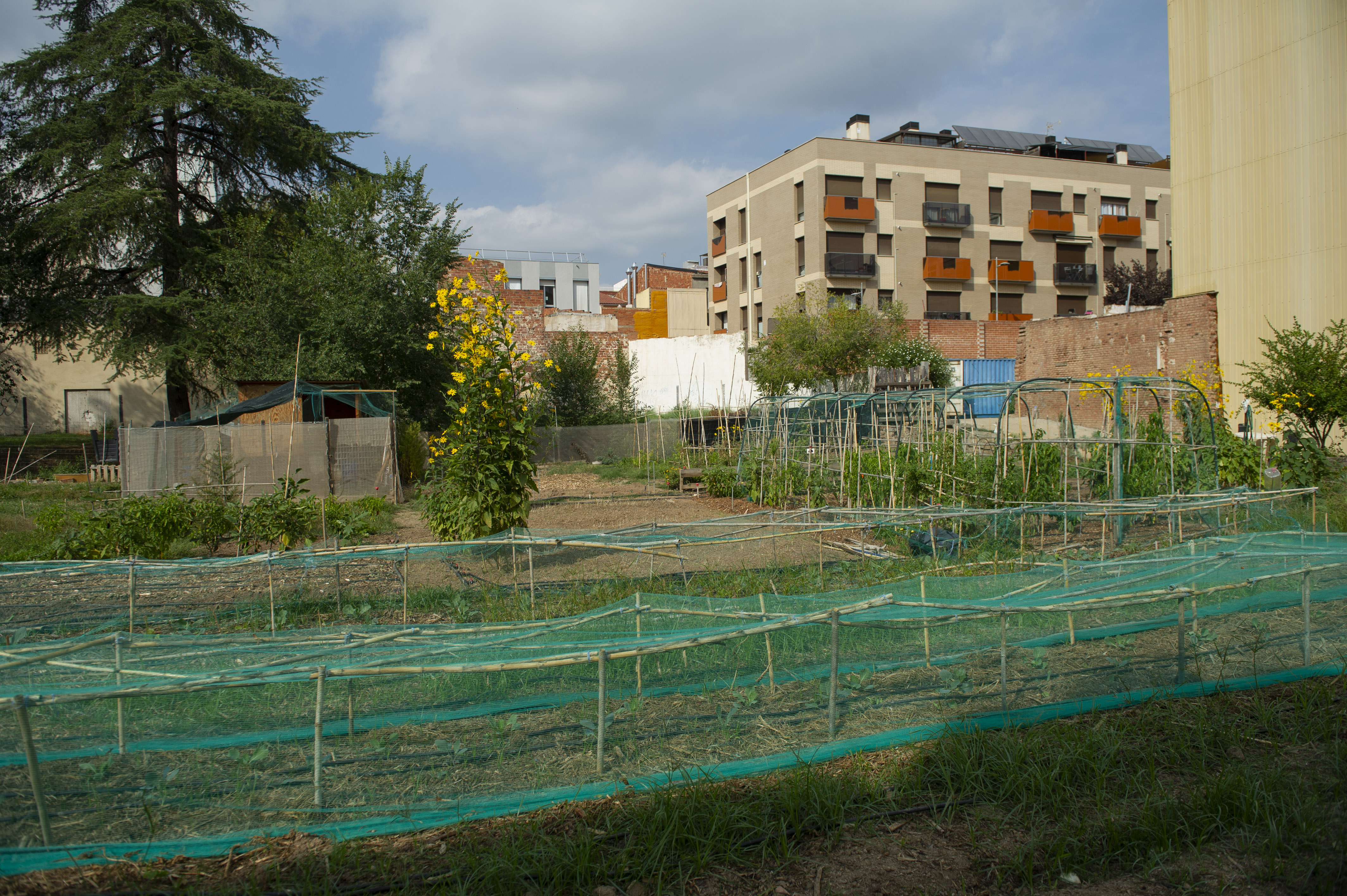 Filtracions en horts de Terrassa que abans van ser un cinema