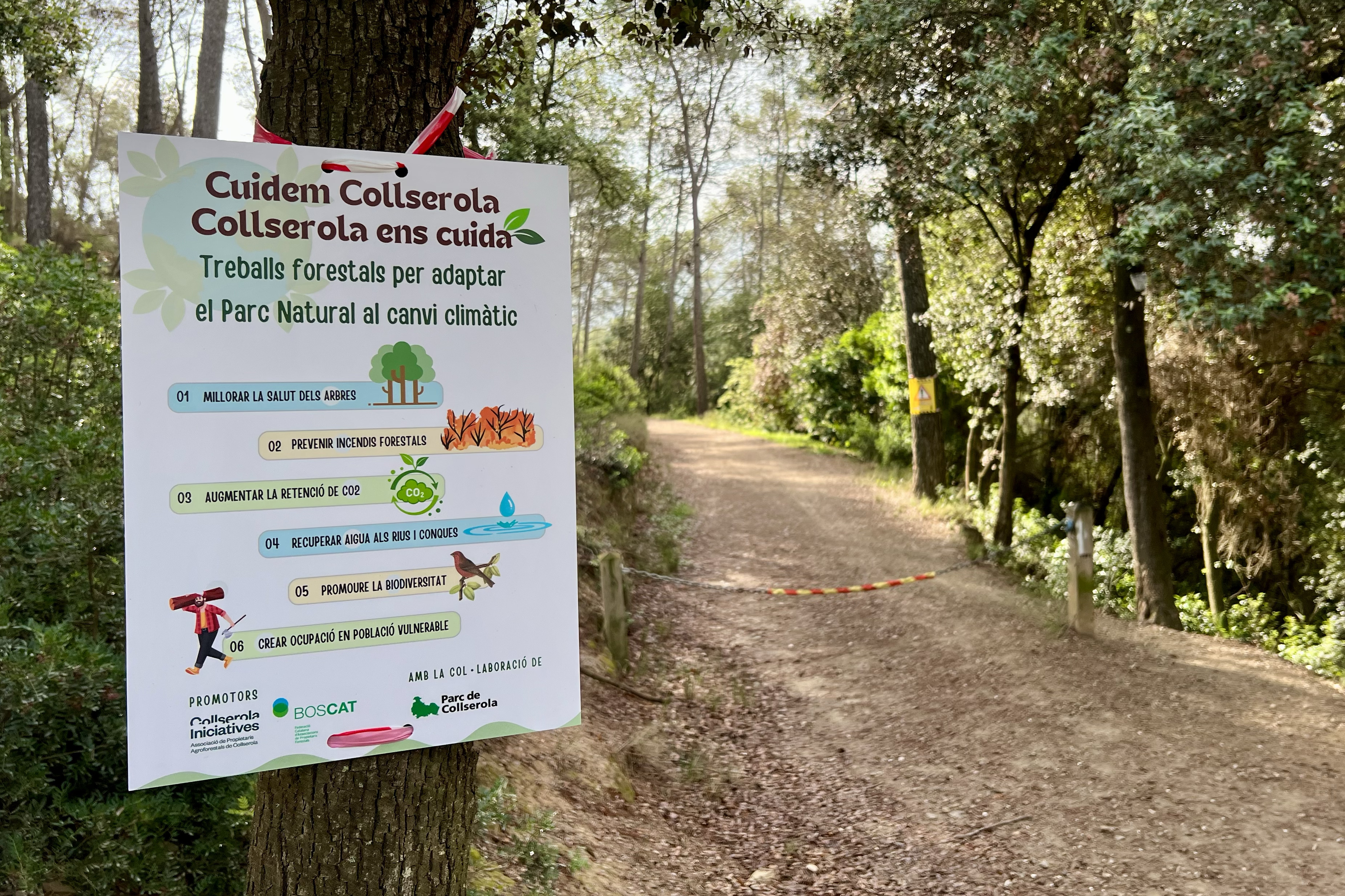 Propietaris de Collserola s’uneixen per protegir el bosc