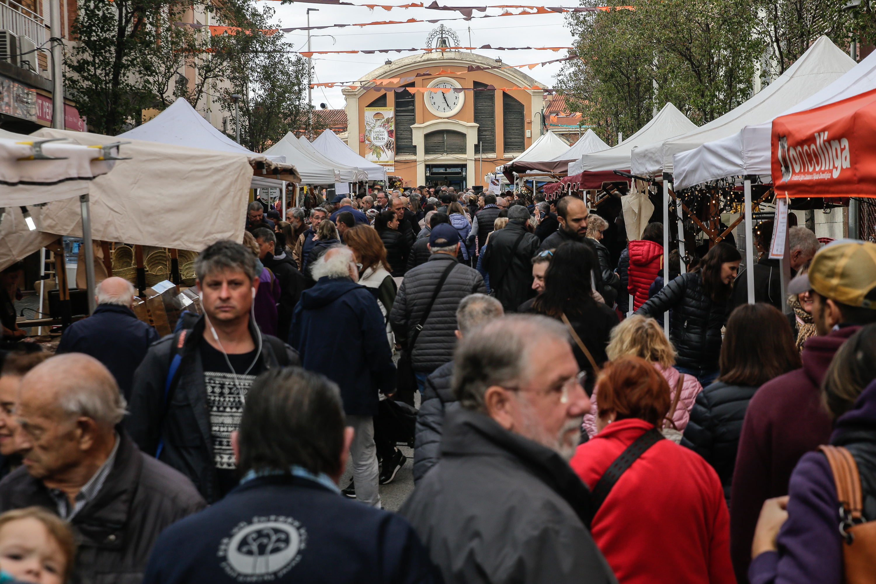 FOTOS | Fira del Bolet de Terrassa
