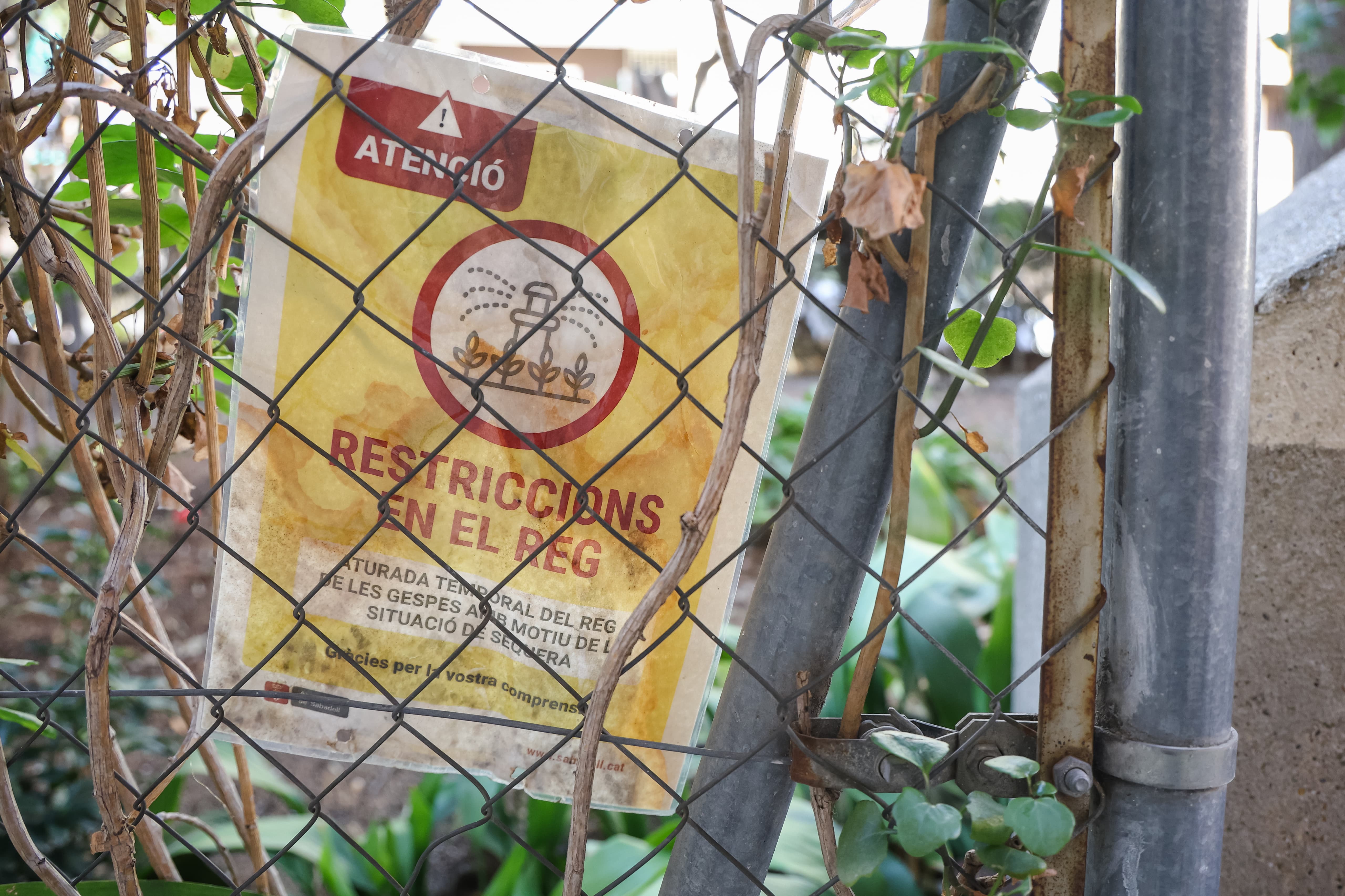 L'emergència per sequera arribarà 