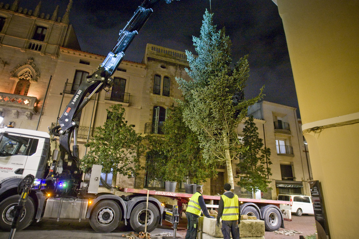 FOTOS | Espectacular instal·lació de l'arbre de Nadal de Terrassa