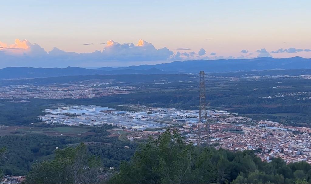 Els productors d'oli del Vallès busquen obtenir una Denominació d'Origen pròpia